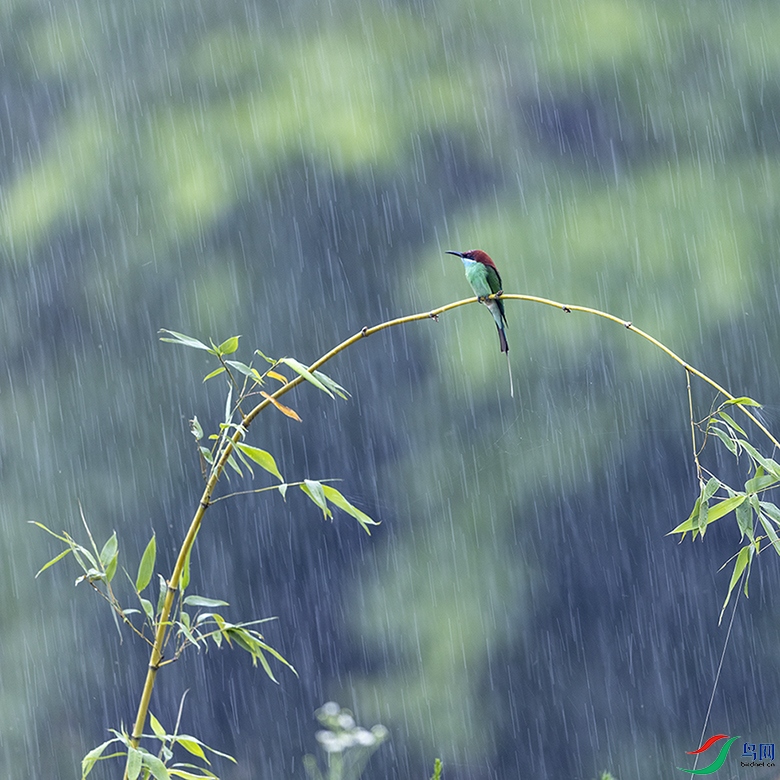 2F5A1248 ����.psd22.jpg