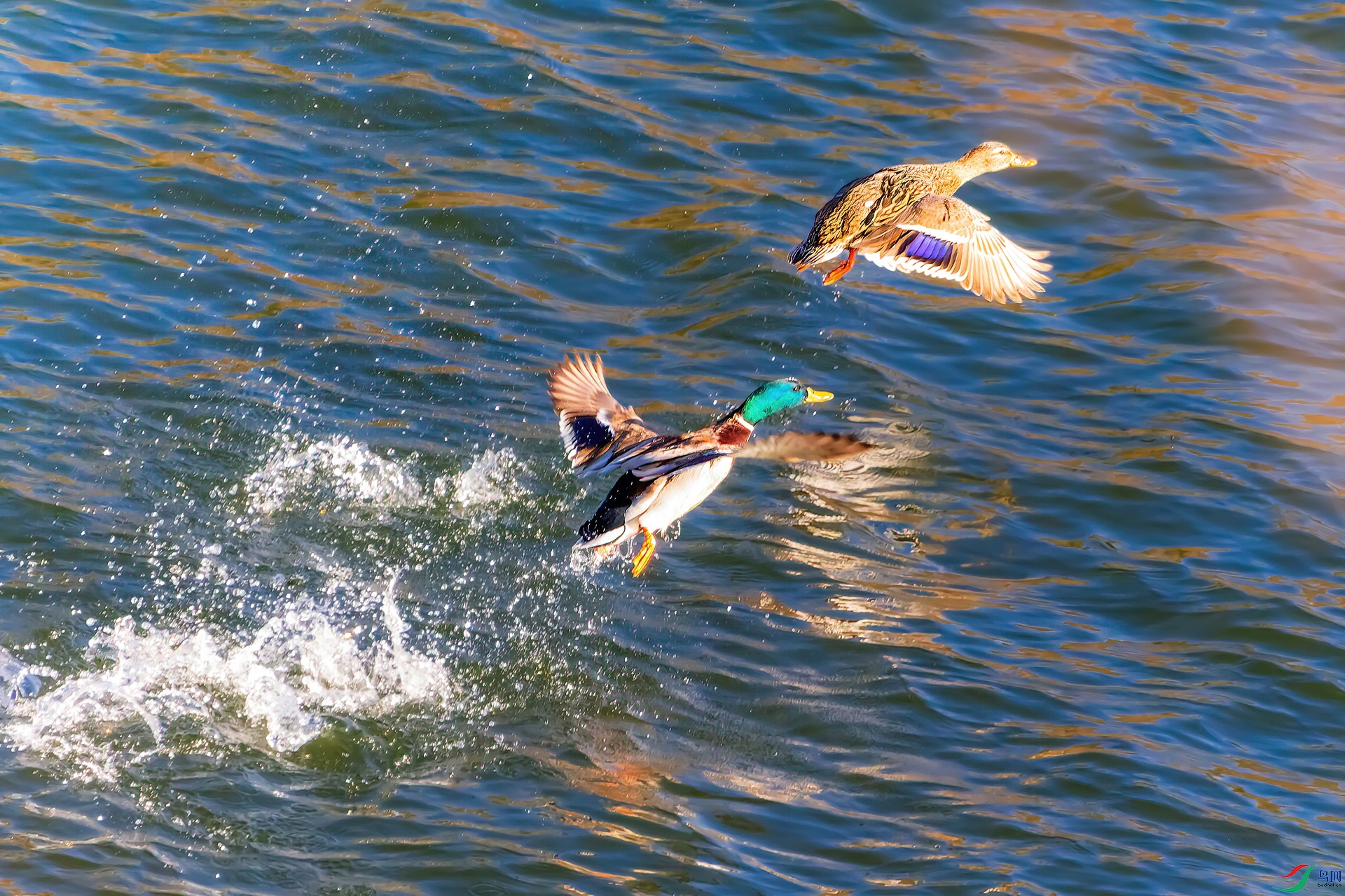 IMG_4814.jpg