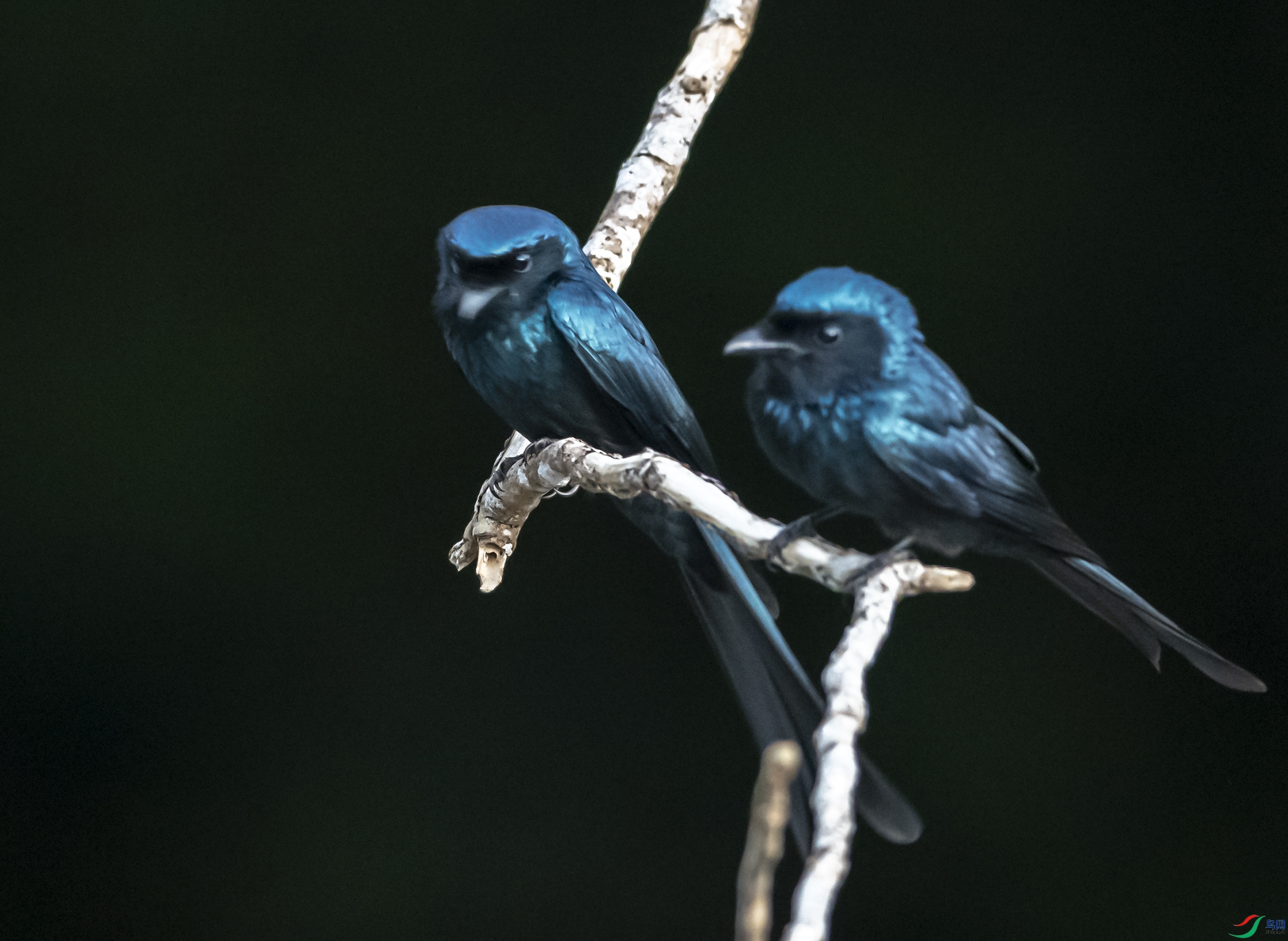 _DSC1443 ����.jpg