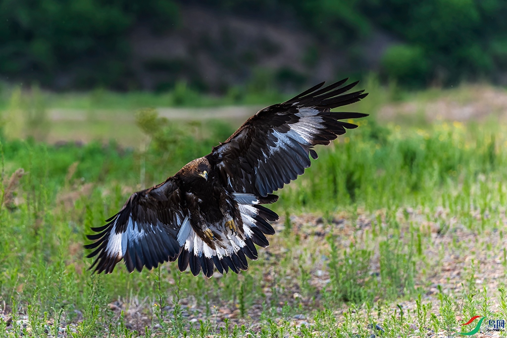 jlcyR230606 (4913)_DxO.jpg