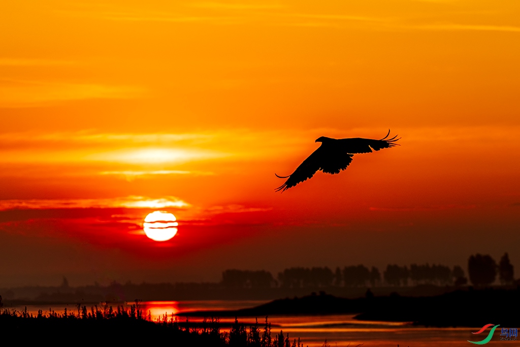 jlcyR230606 (323).jpg