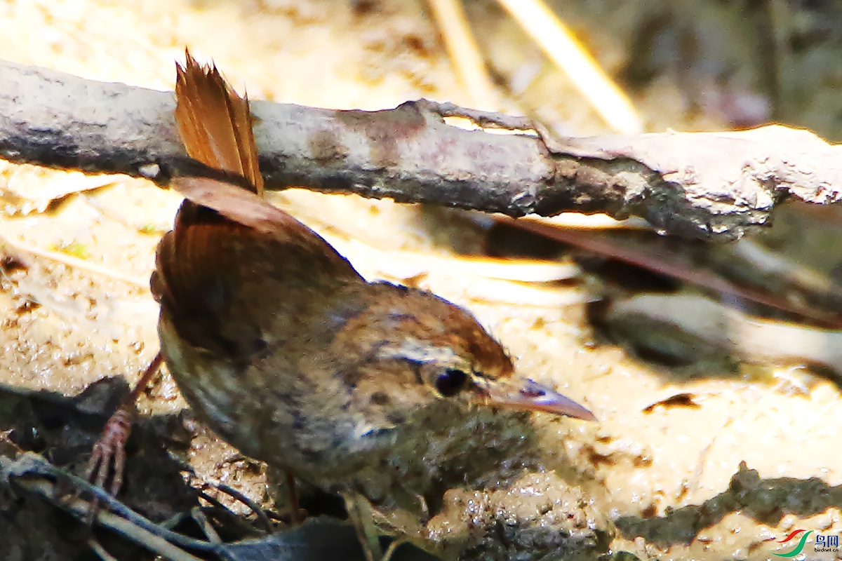 2F4A0149.JPG