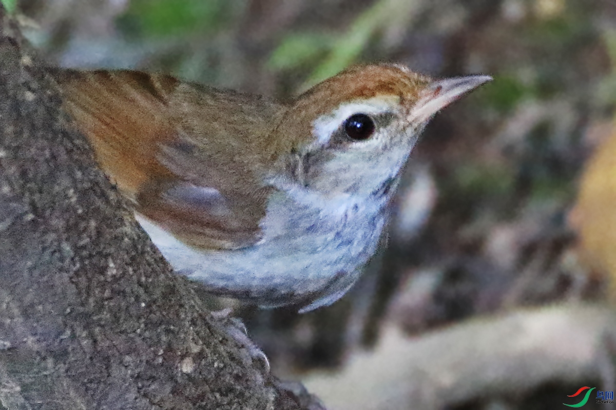 2F4A9875.JPG