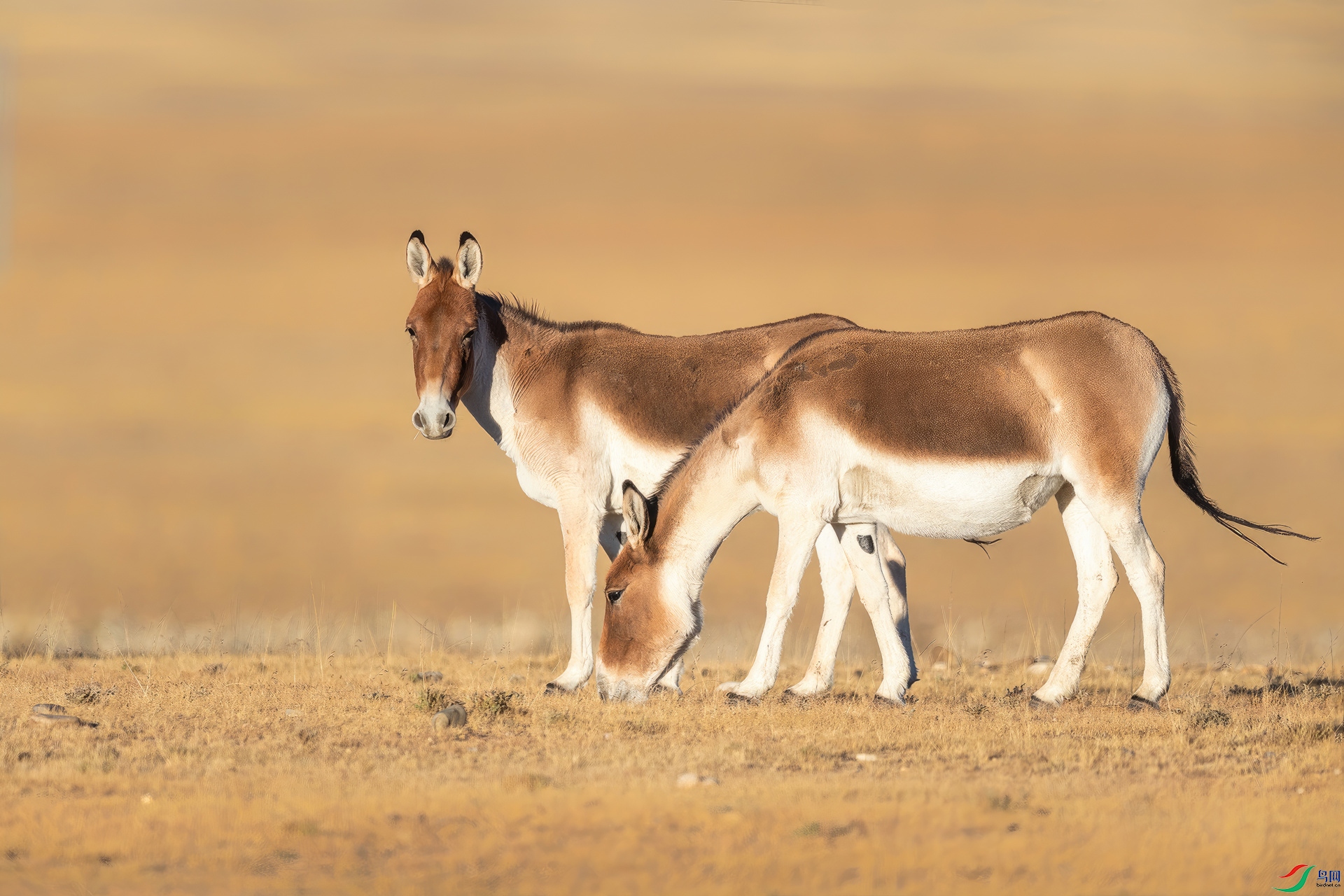 0_DSC3415-gigapixel-standard-width-1920px.jpg