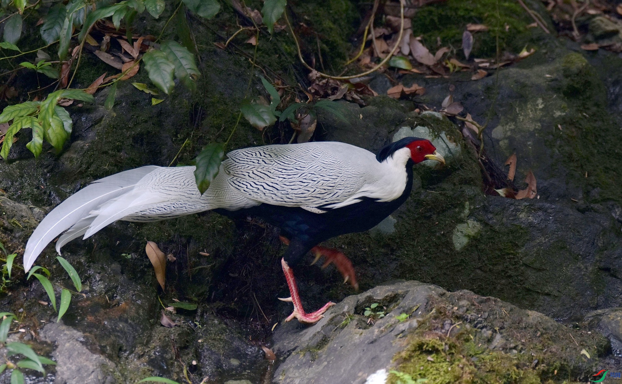 D72_2139.jpg