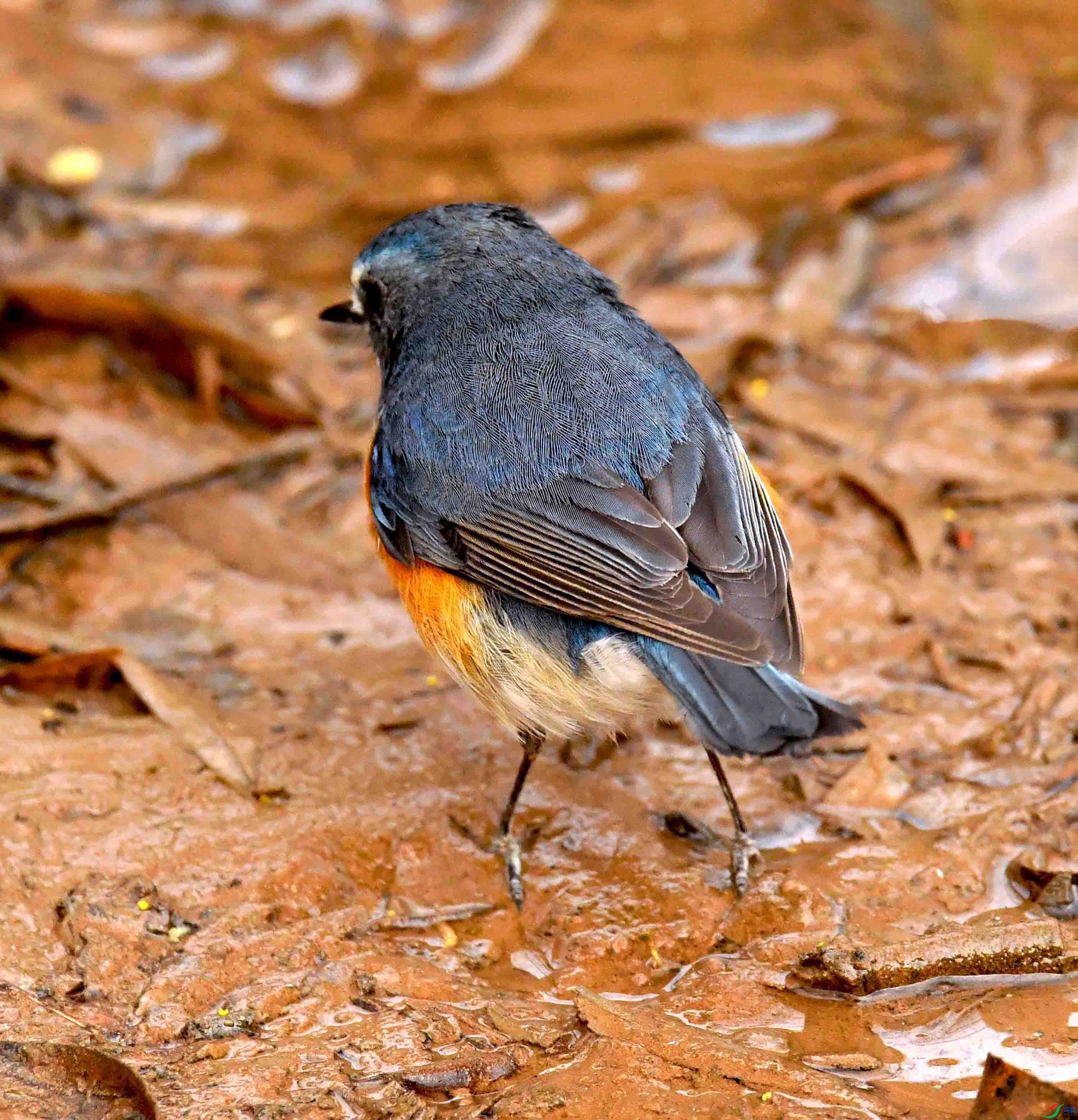 DSC_1508.JPG