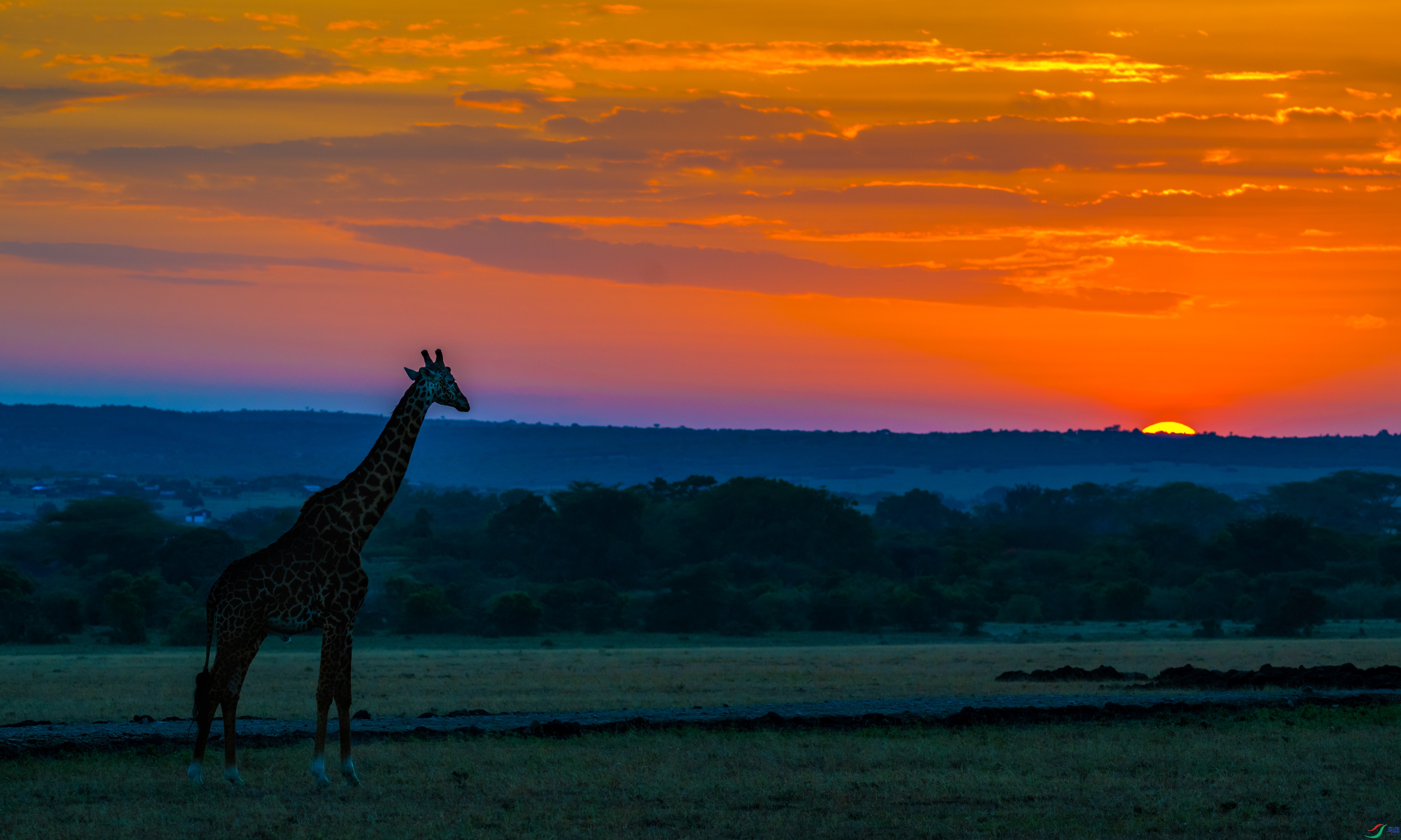 DSC_7830-1.jpg