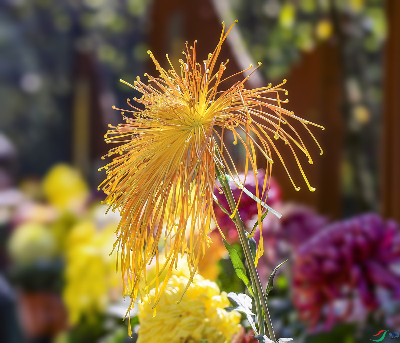 001525832IMG_0841 ������ϼ1000k.jpg