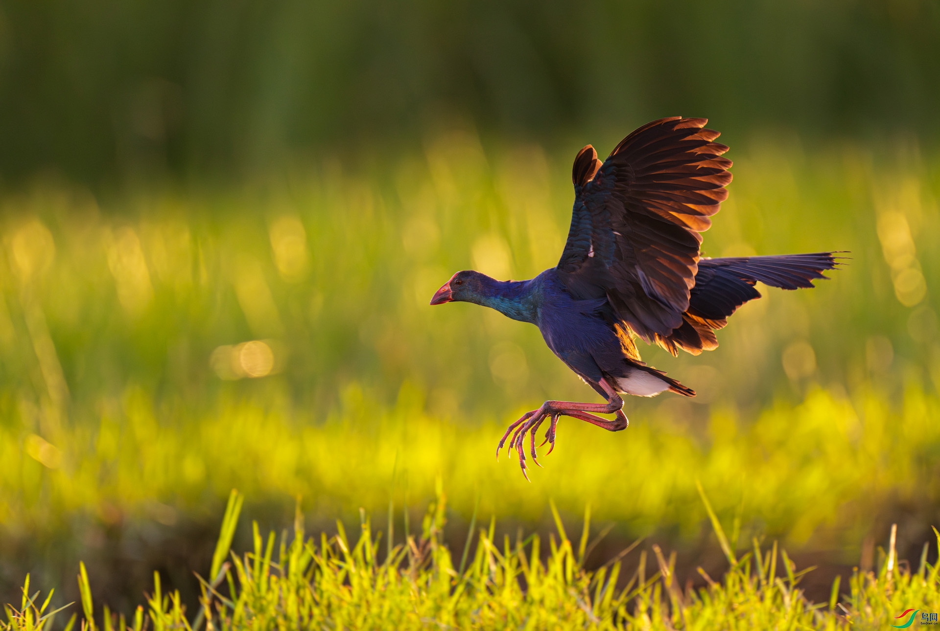 Ϧ���µ���ˮ��