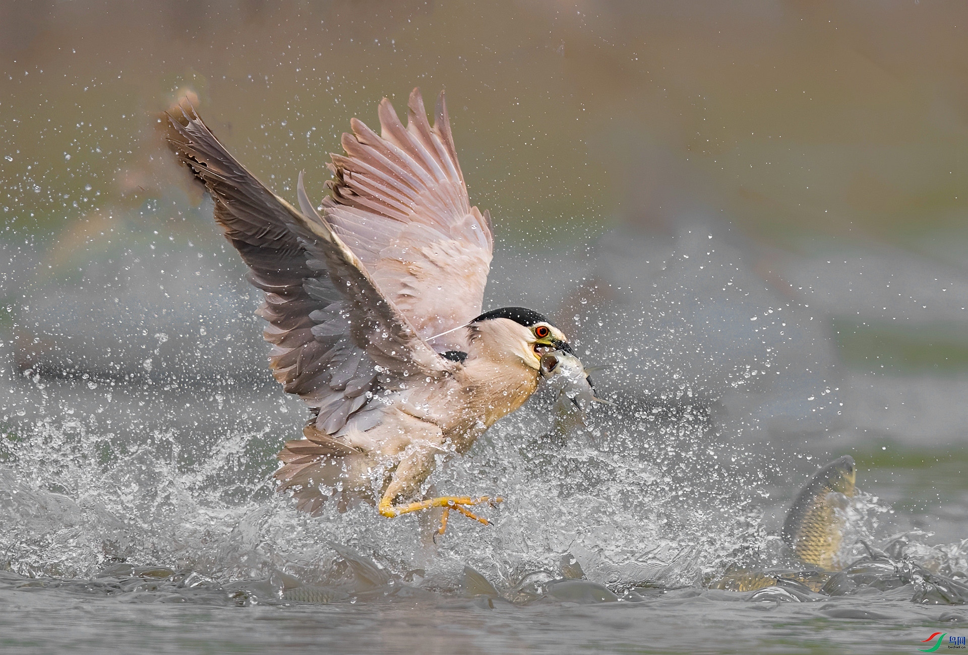 DSC_0125 ����_���� ����.jpg