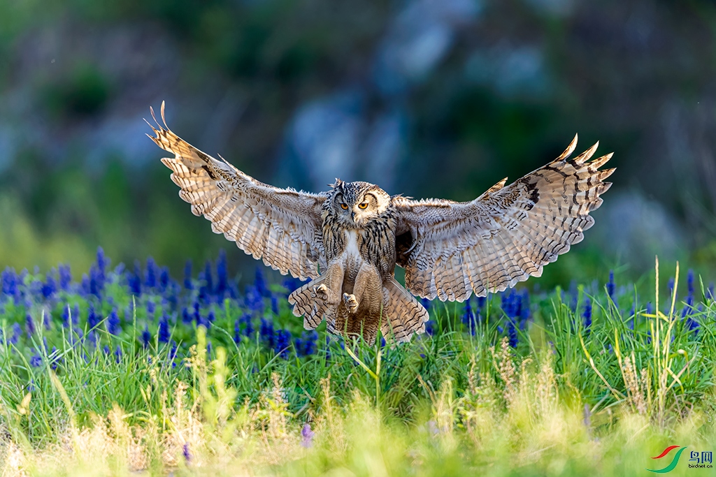 lnsysjtR230603 (536)_DxO.jpg