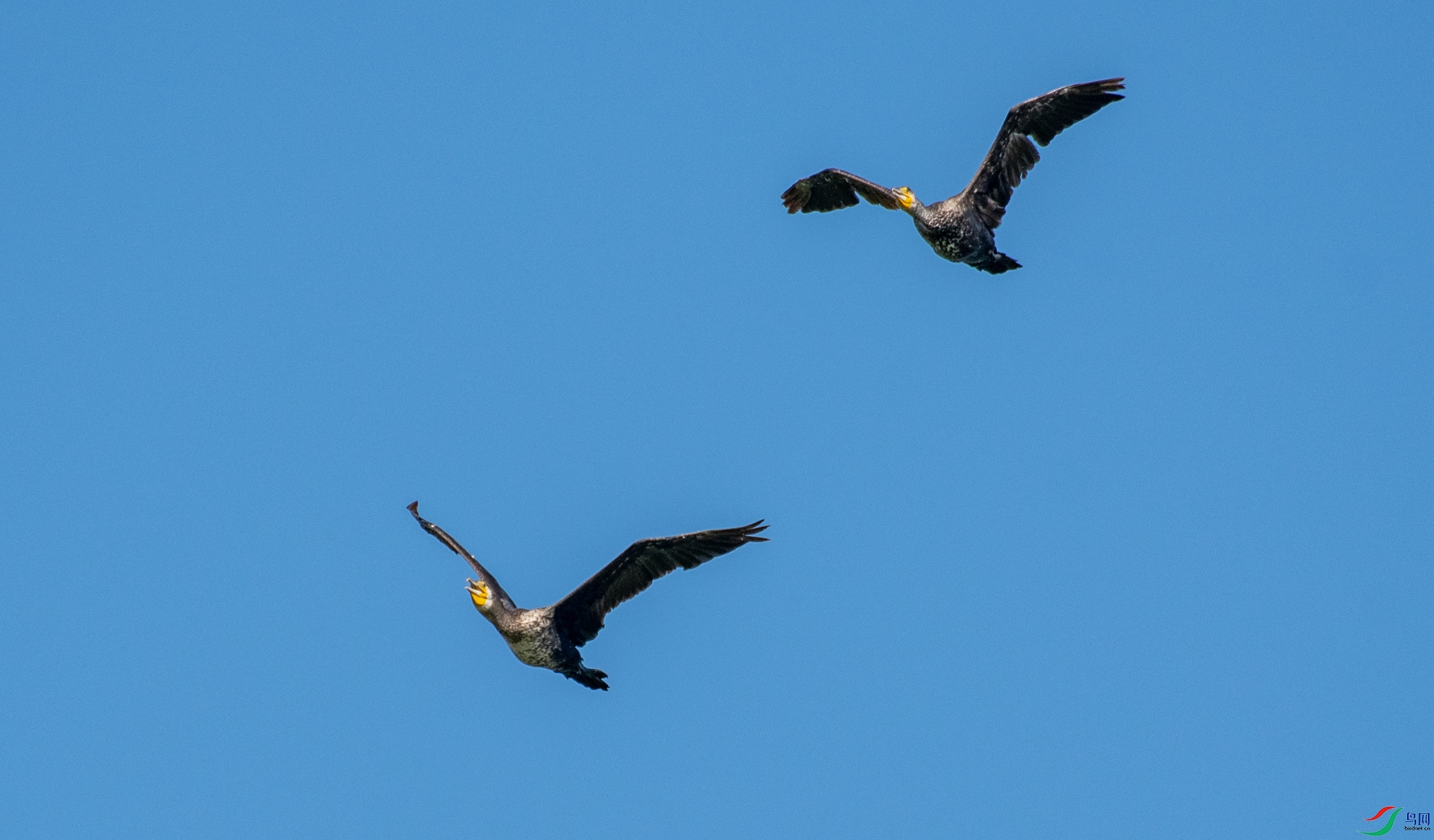DSC_5727.jpg