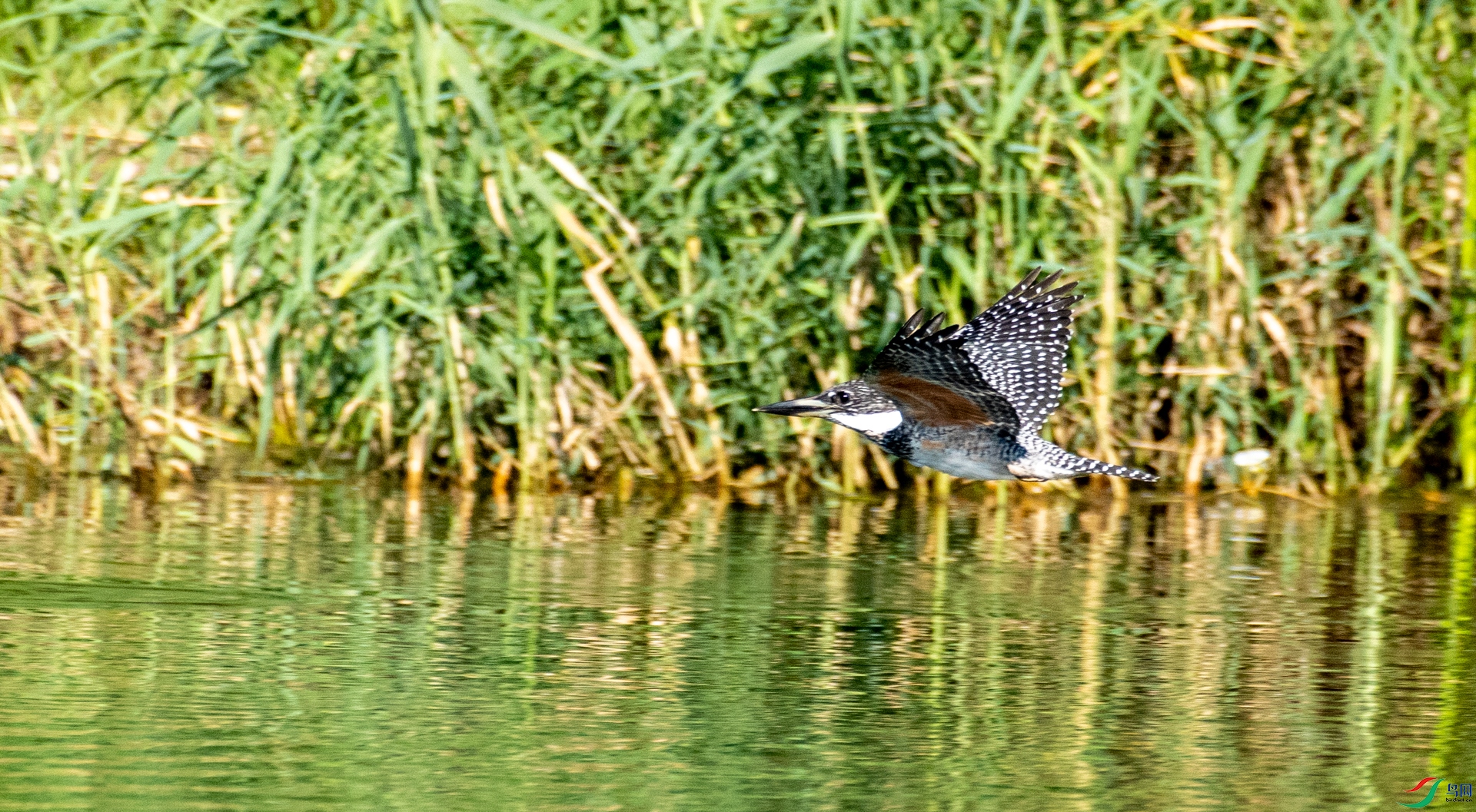 DSC_5886.jpg