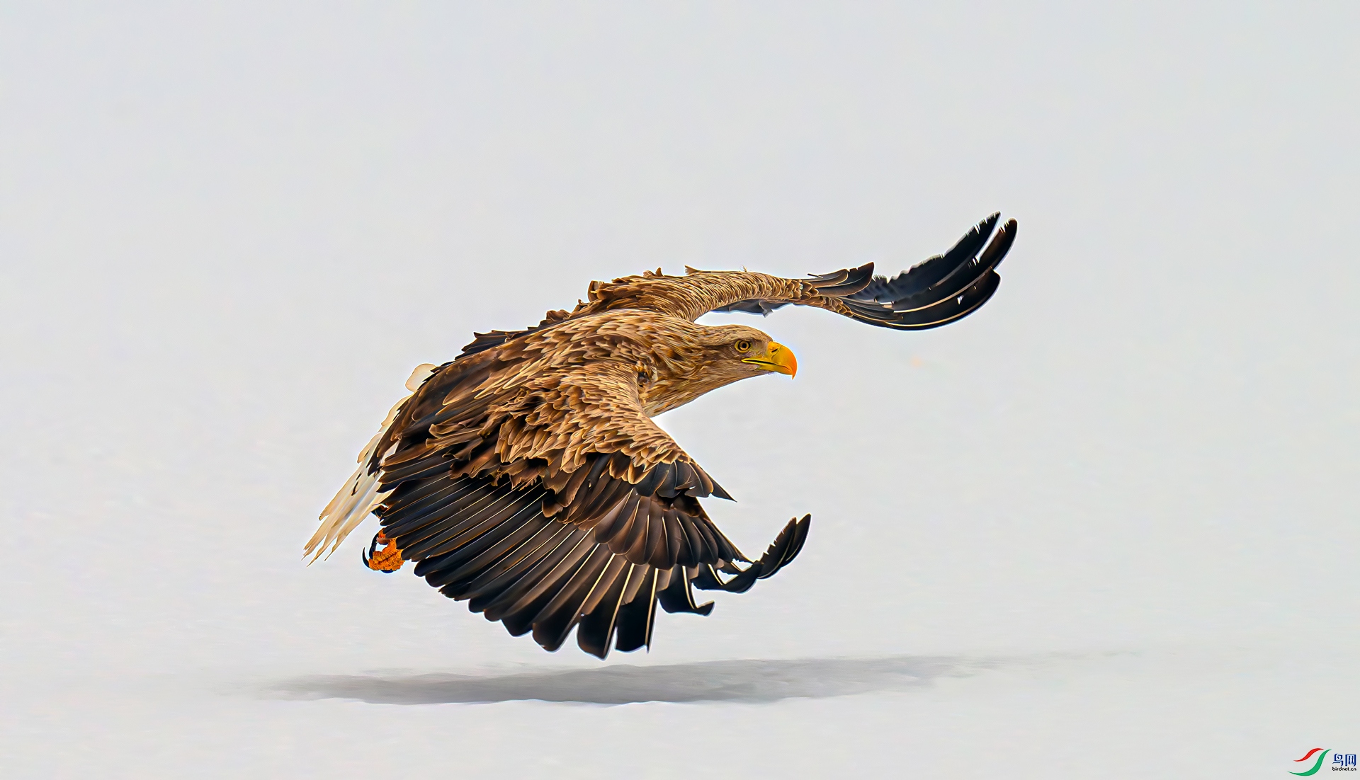 DSC_2816==1w.jpg