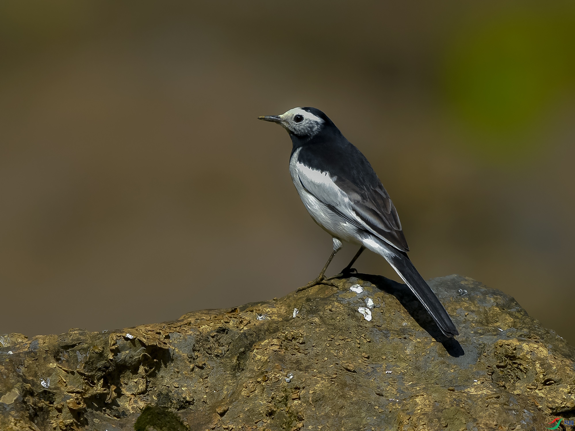 DSC_5650.JPG