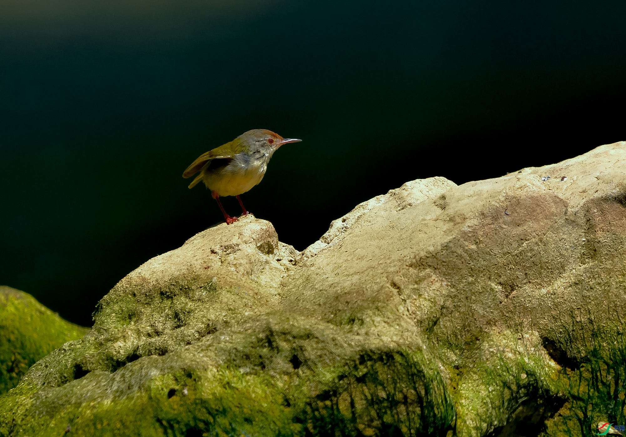 DSC_5276.JPG