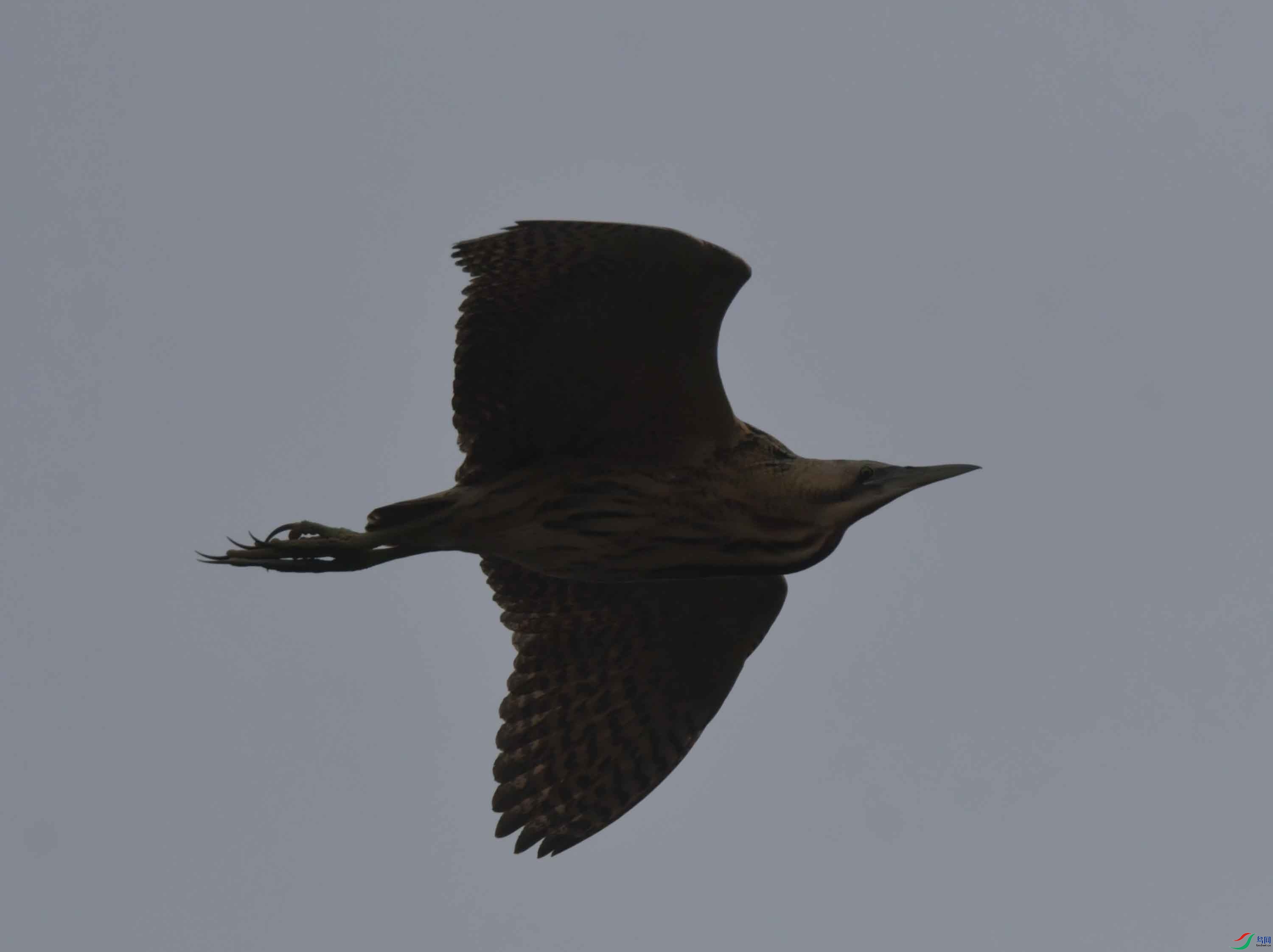DSC_8682.JPG