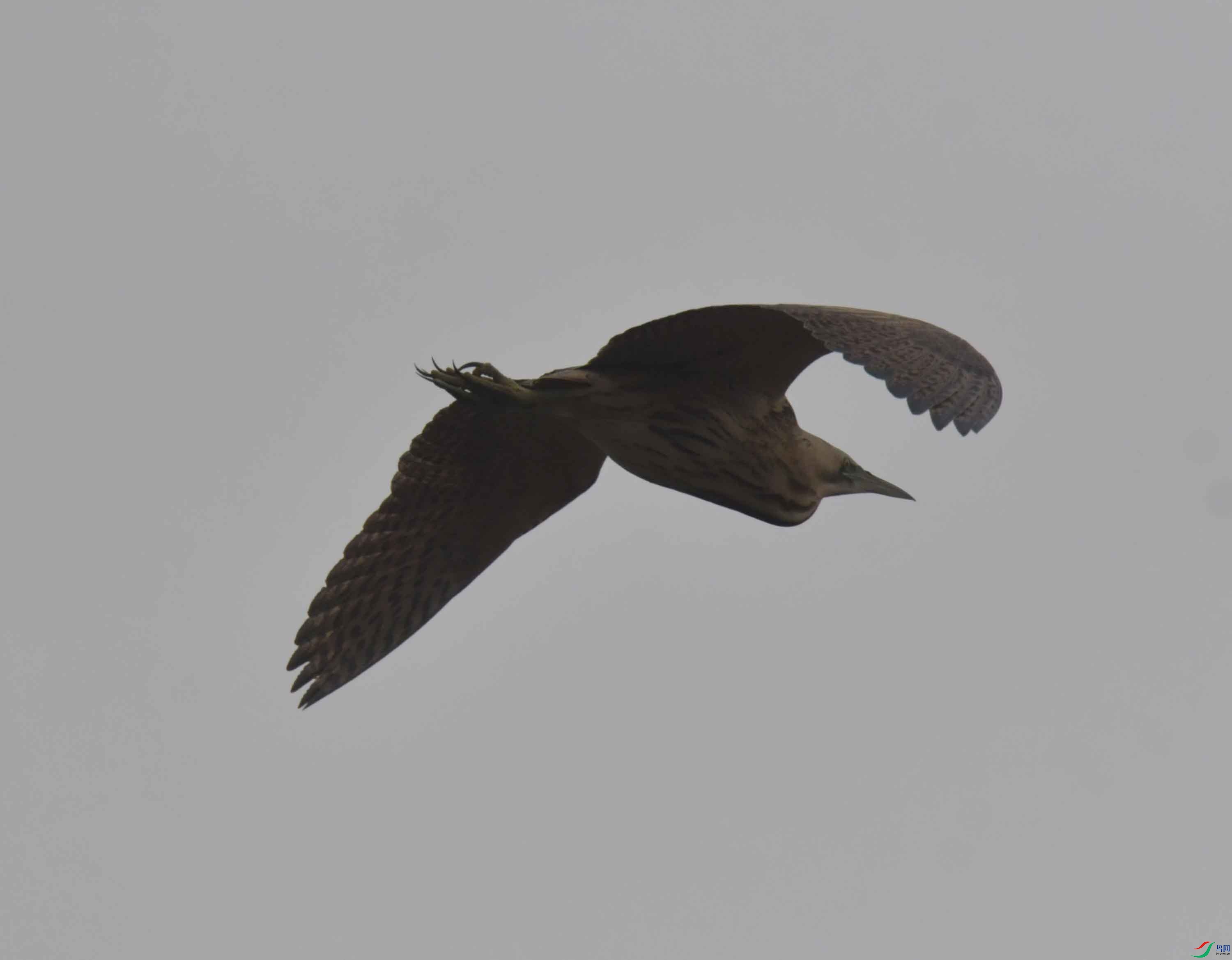 DSC_8697.JPG