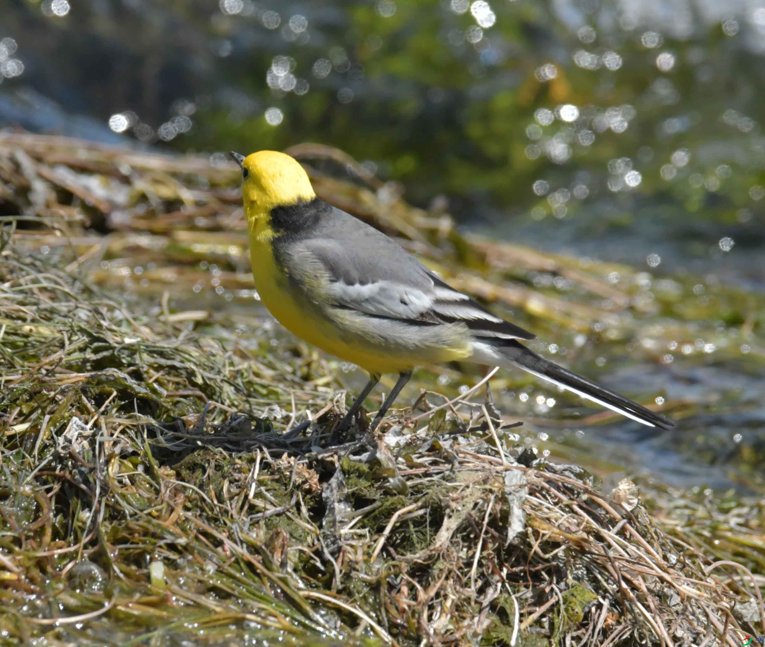DSC_0192.JPG