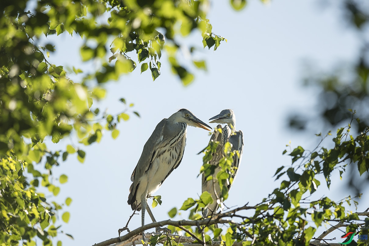 DSC_0051.jpg