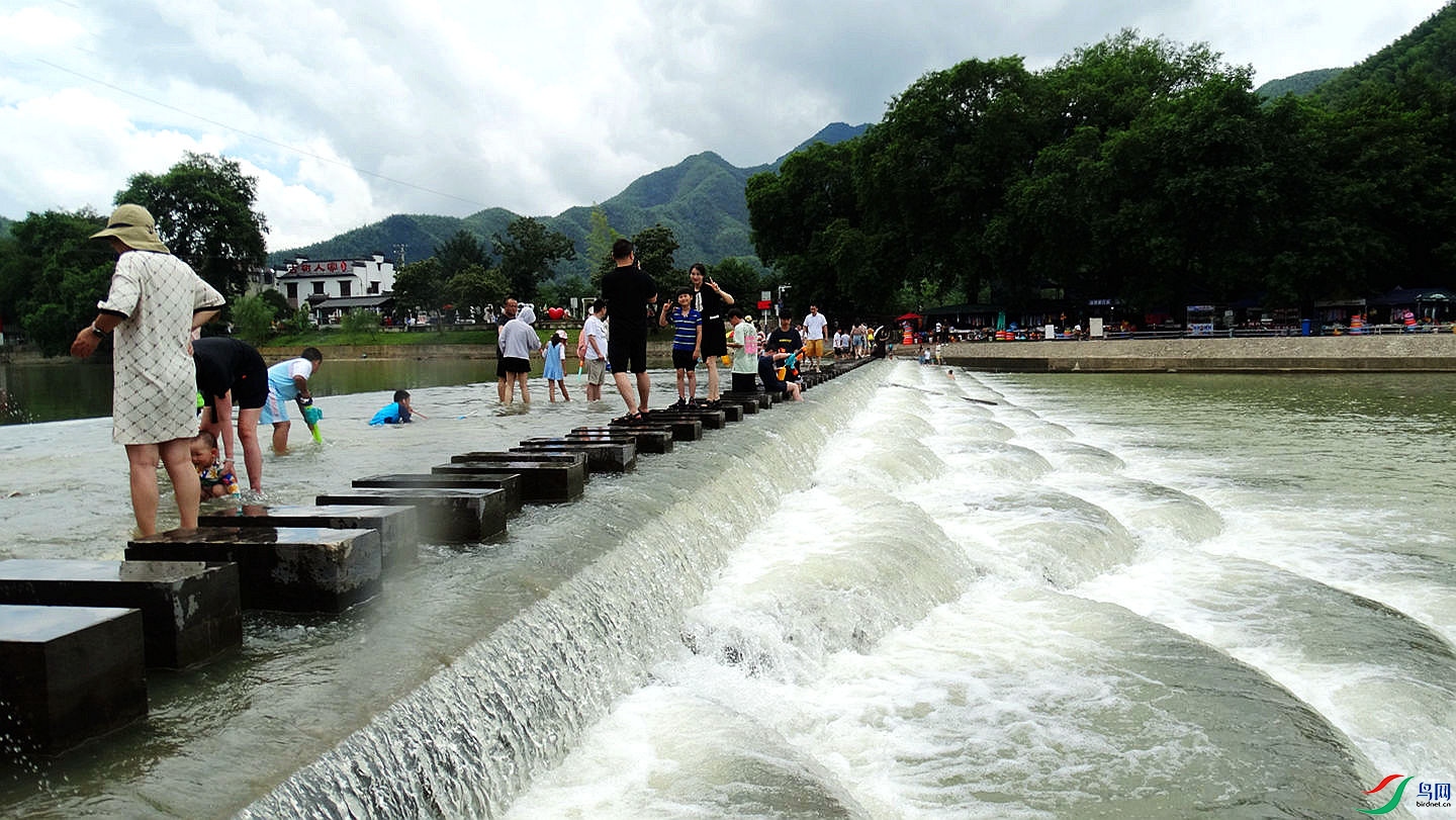 781 (65a)_����.jpg