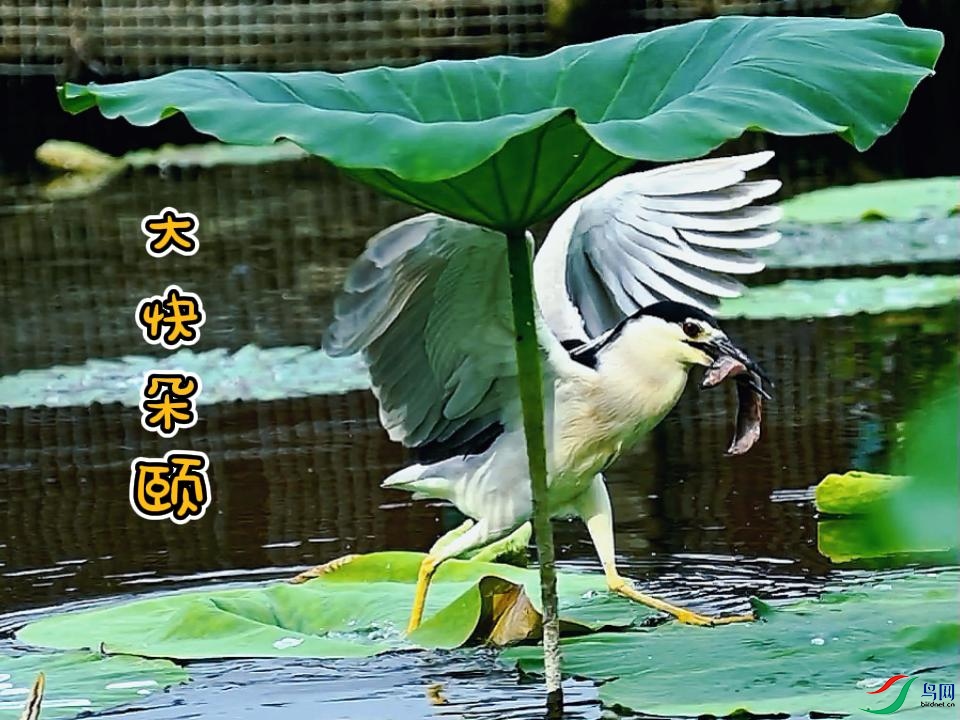 ������