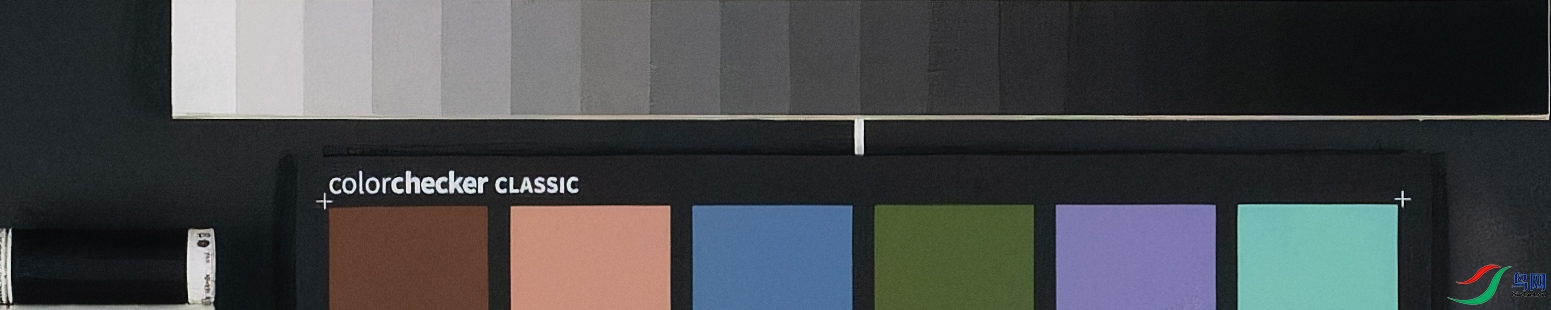 P1290017 (12800)-ORF_DxO_DeepPRIMEXD.jpg