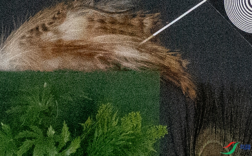 P1290017 (12800)-1.jpg