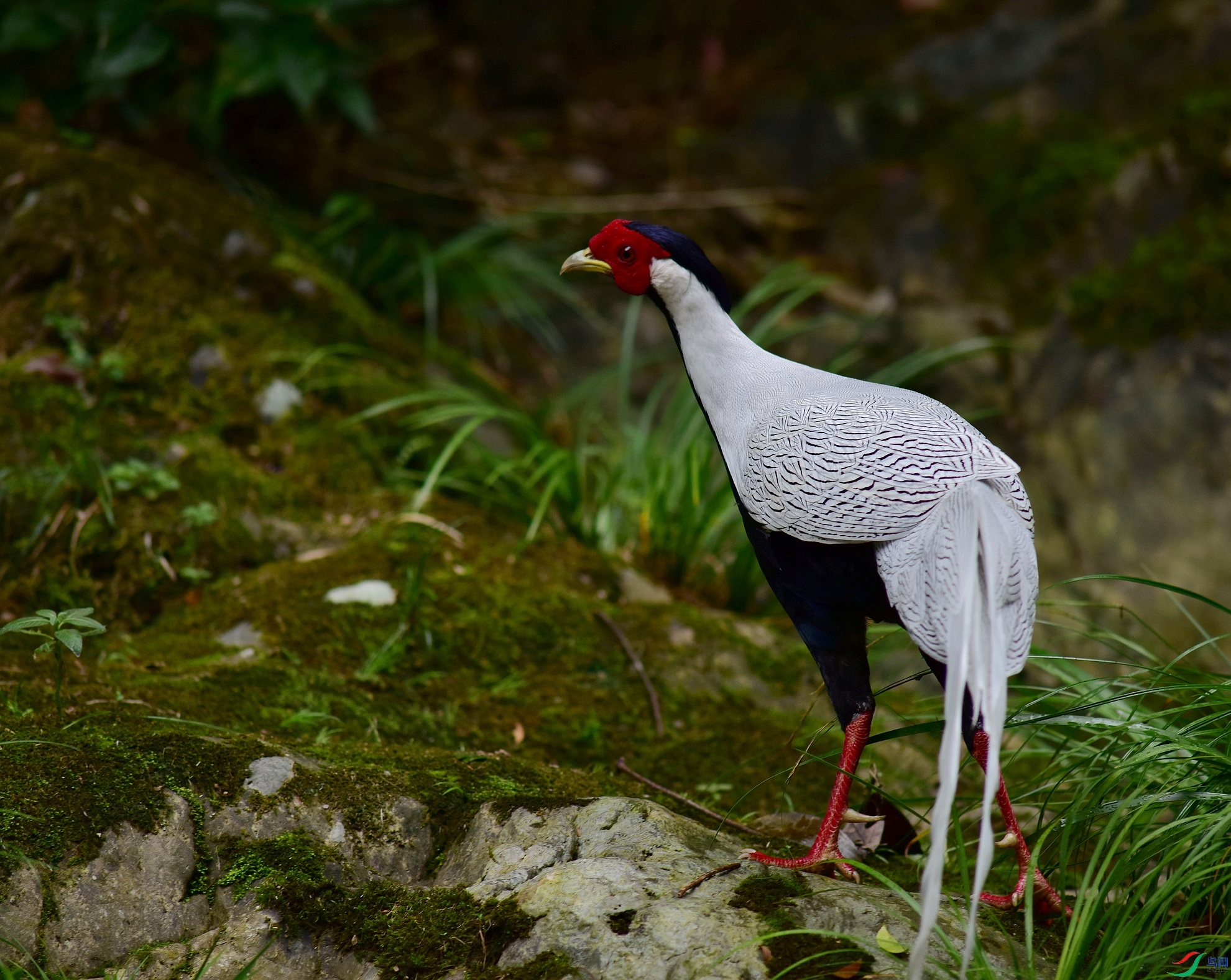 D8I_6895.jpg