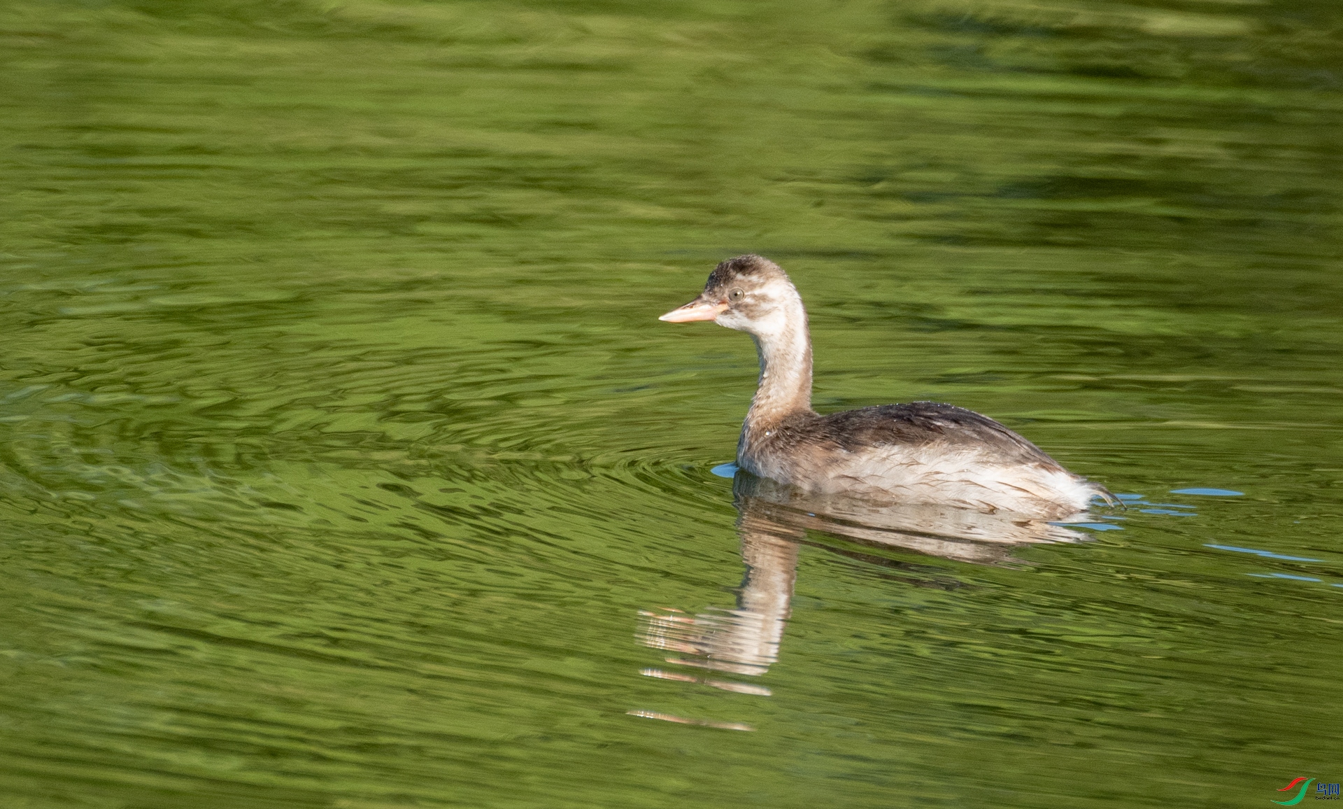 DSC_5710.jpg