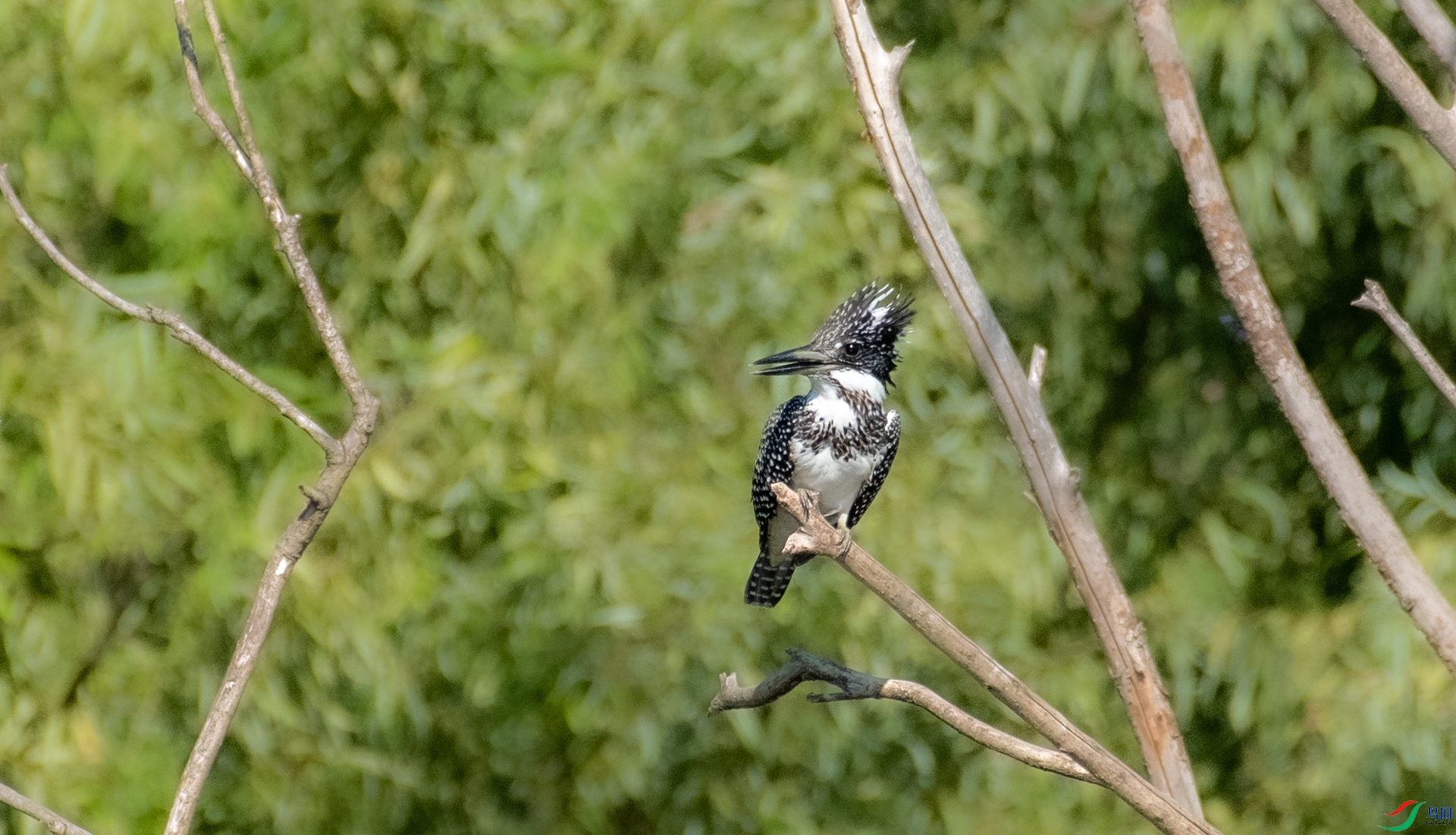 DSC_5851.jpg
