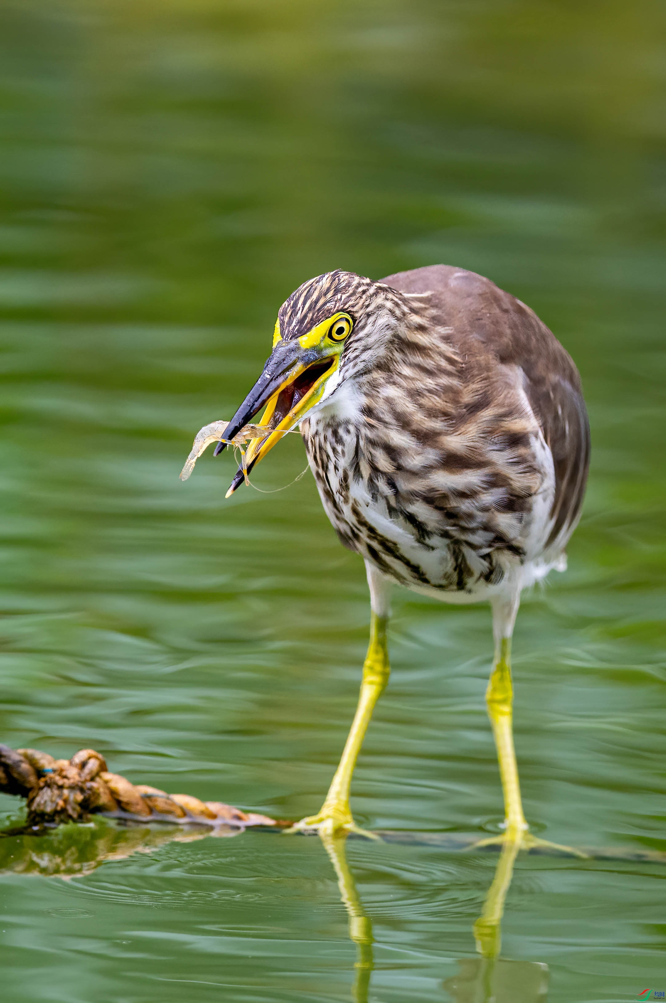 273A8194-topaz-denoise-sharpen.jpg