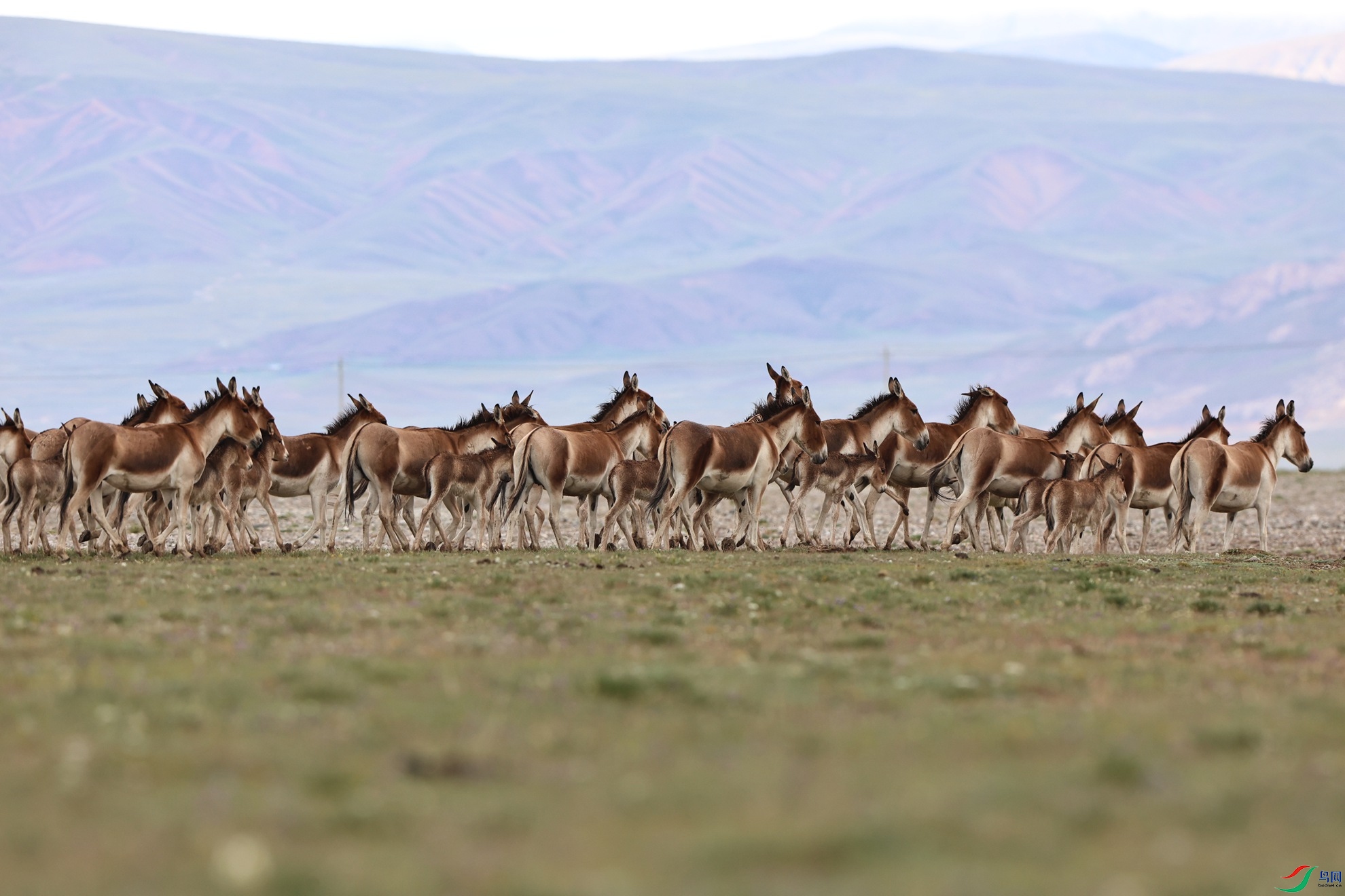 7X5A5158 - ����.JPG