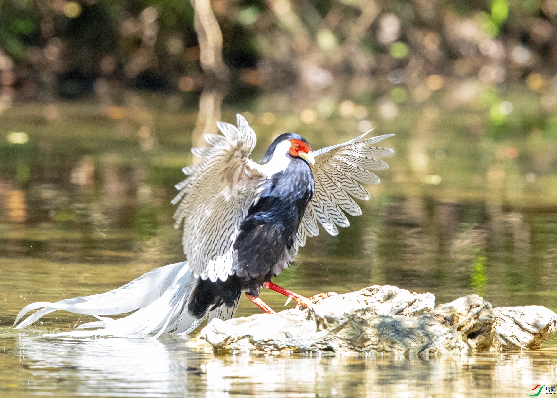 7821 ����.jpg