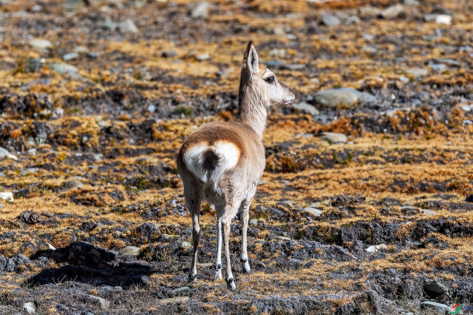 _DSC2996-gigapixel-standard-width-1920px.jpg