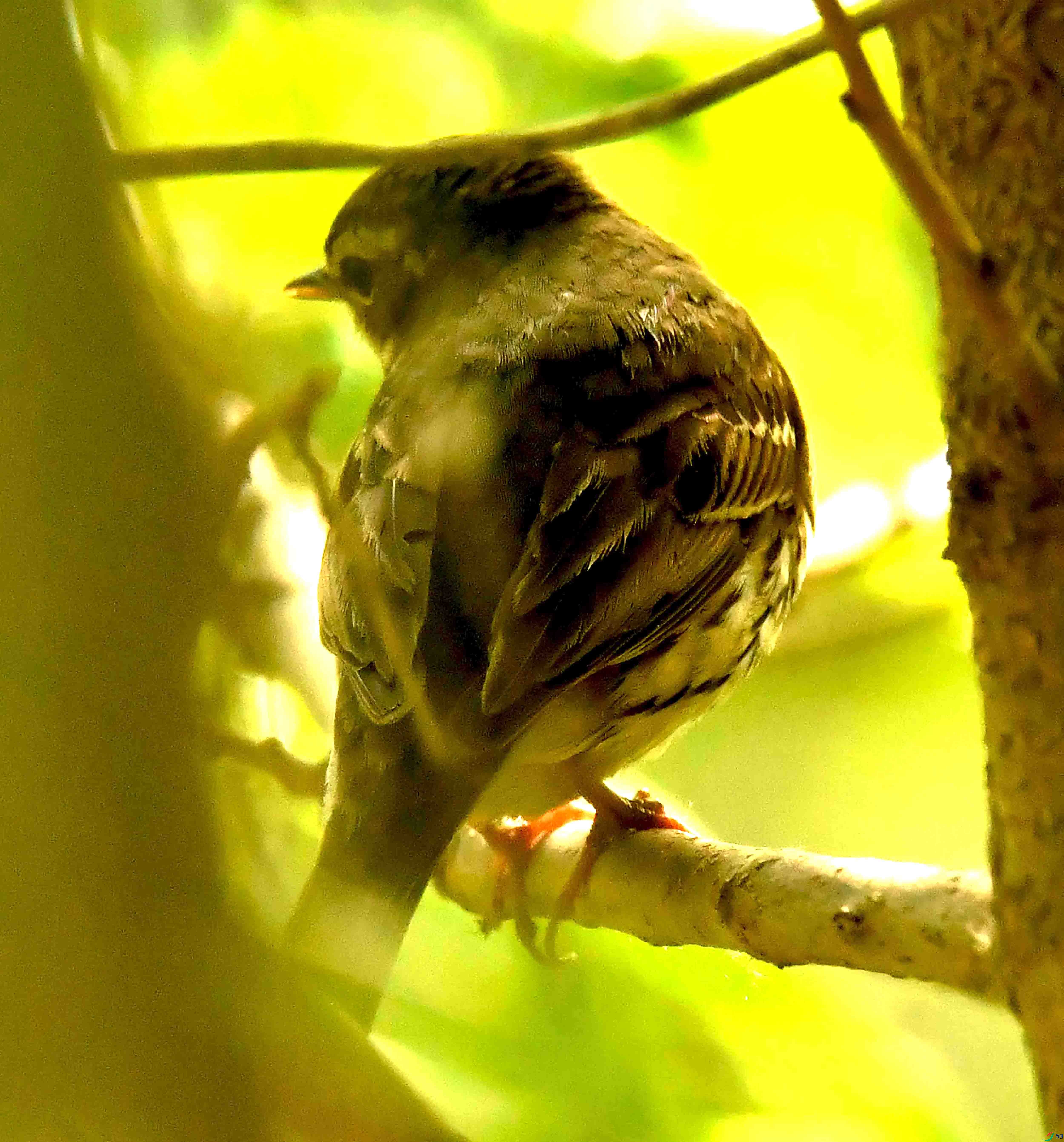 DSC_2944.JPG