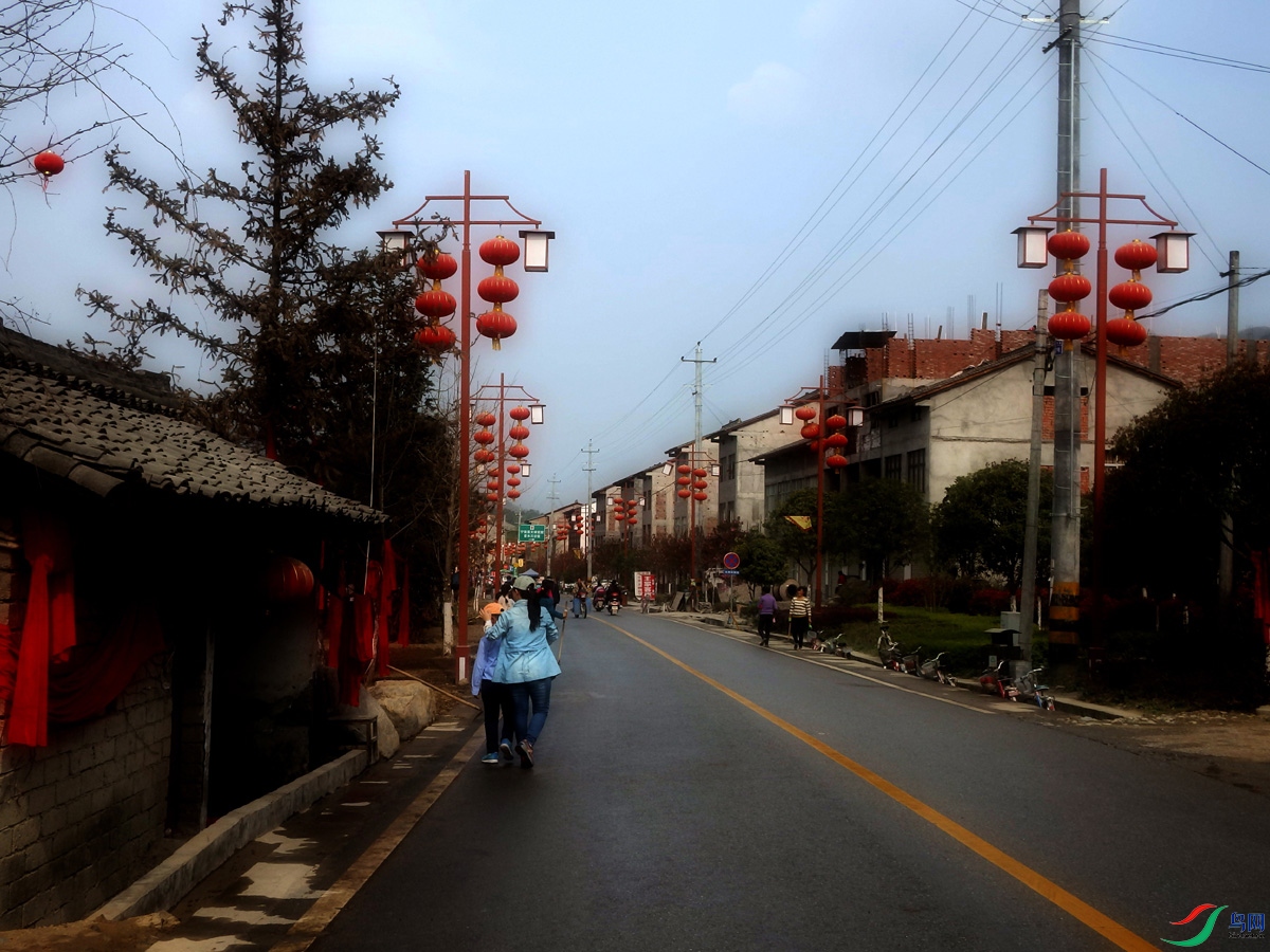 P4025895.jpg