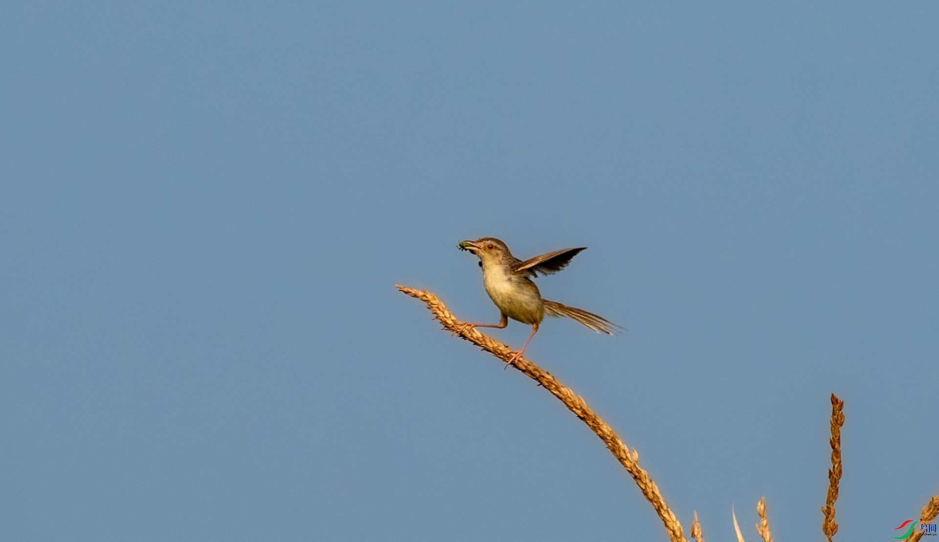DSC_6125.jpg