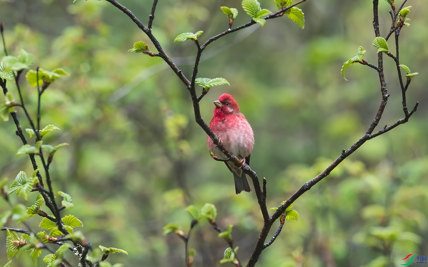 DSC_07741.jpg