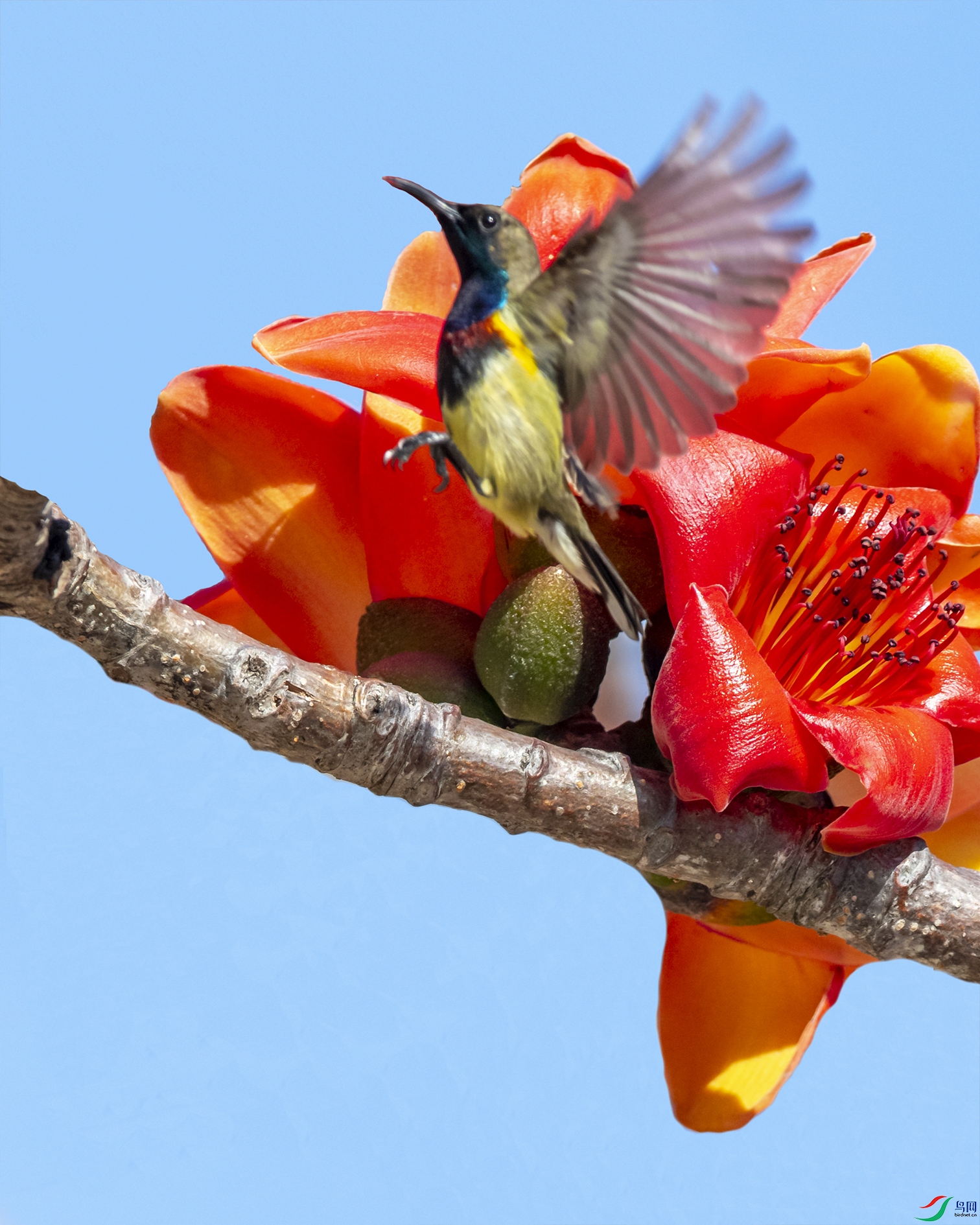 3188 ����.jpg