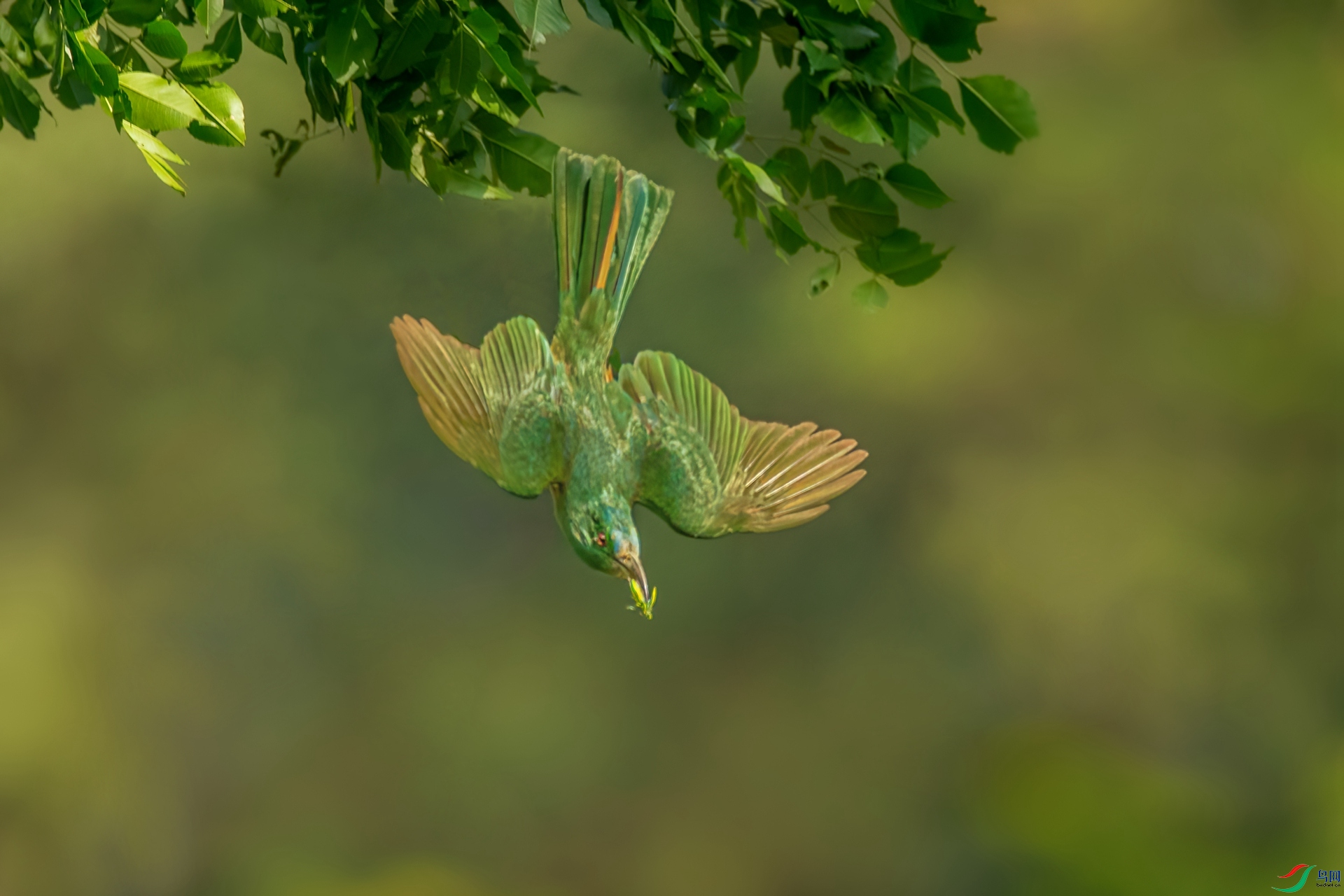 B86I6088_����.jpg