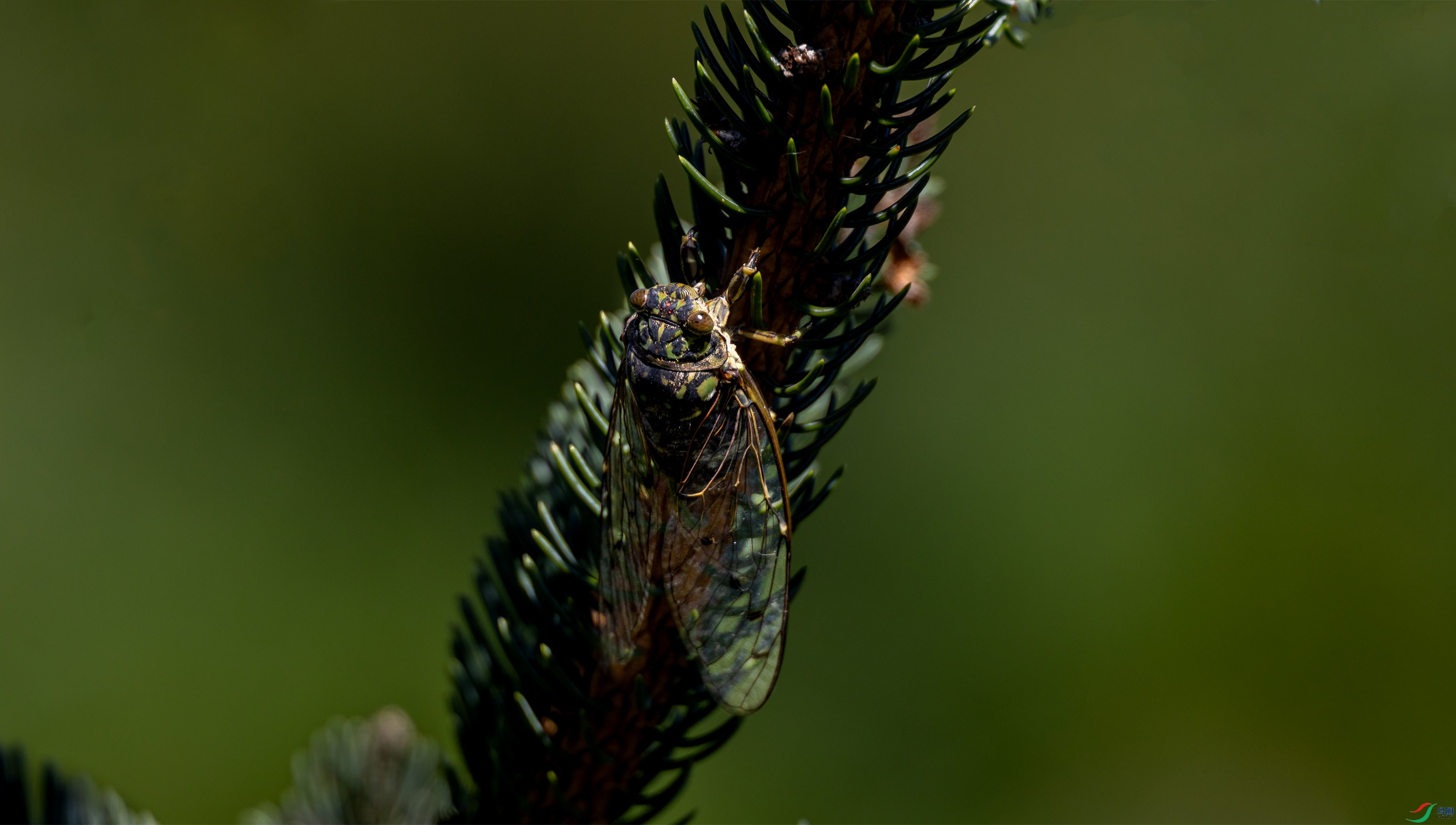 R3NL3757-1-2.jpg