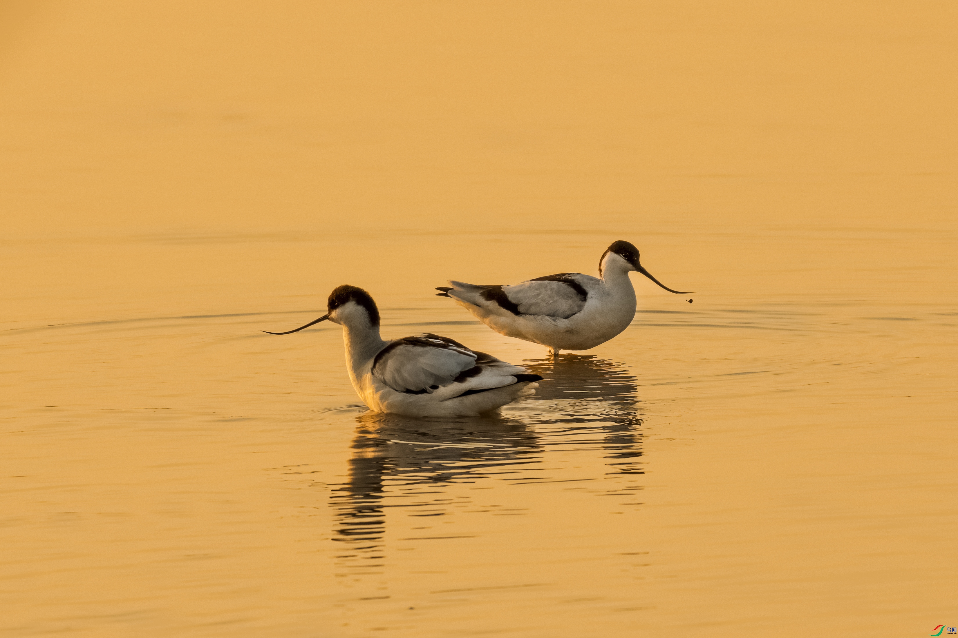 DSC00276 ����.jpg