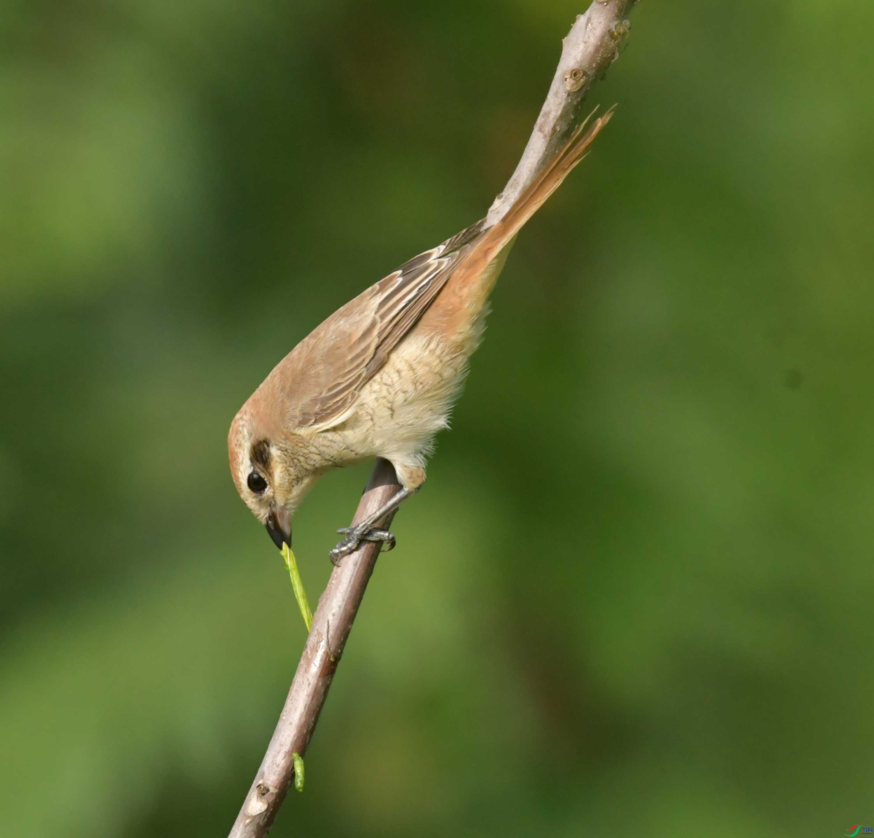 DSC_5698.JPG