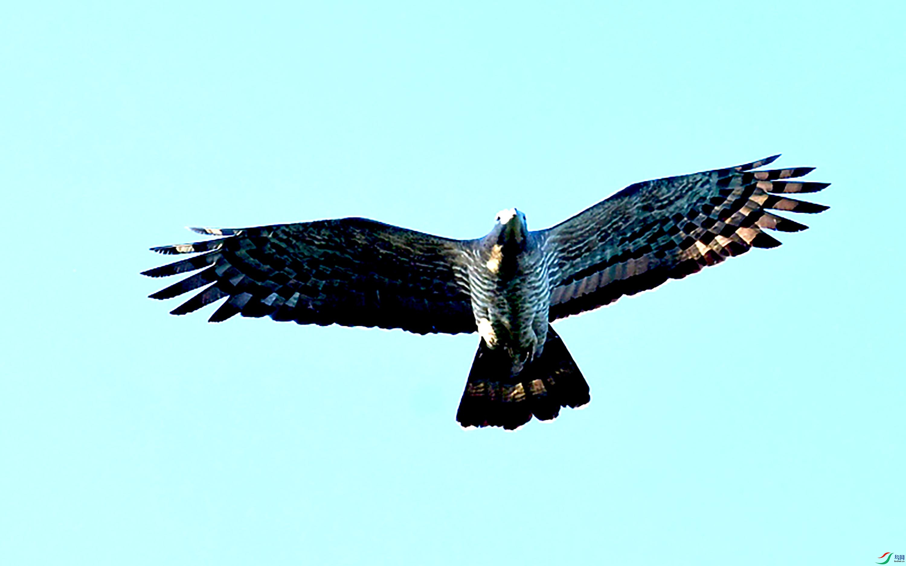 DSC_5508_��ͼ��.jpg