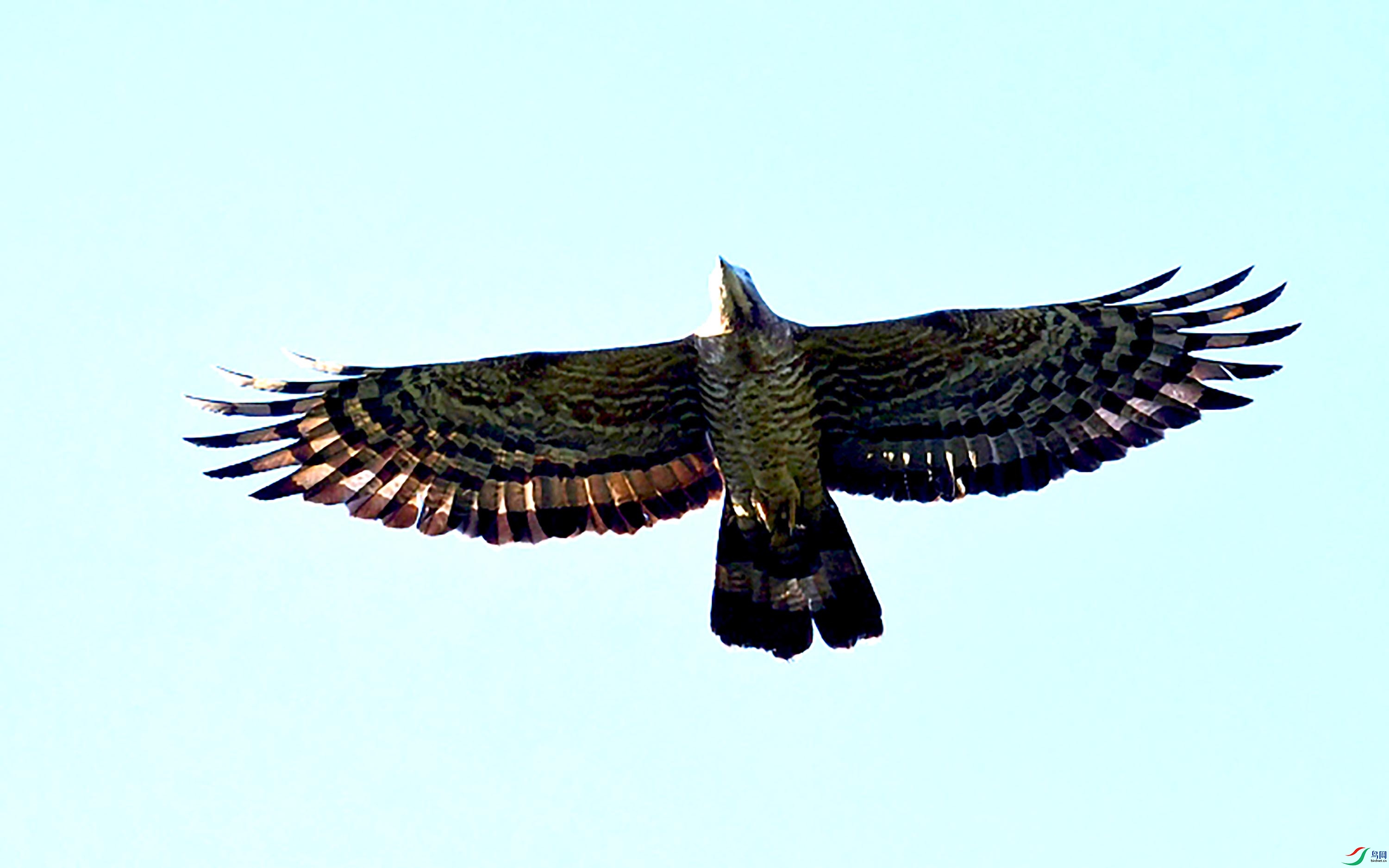 DSC_5490_��ͼ��.jpg