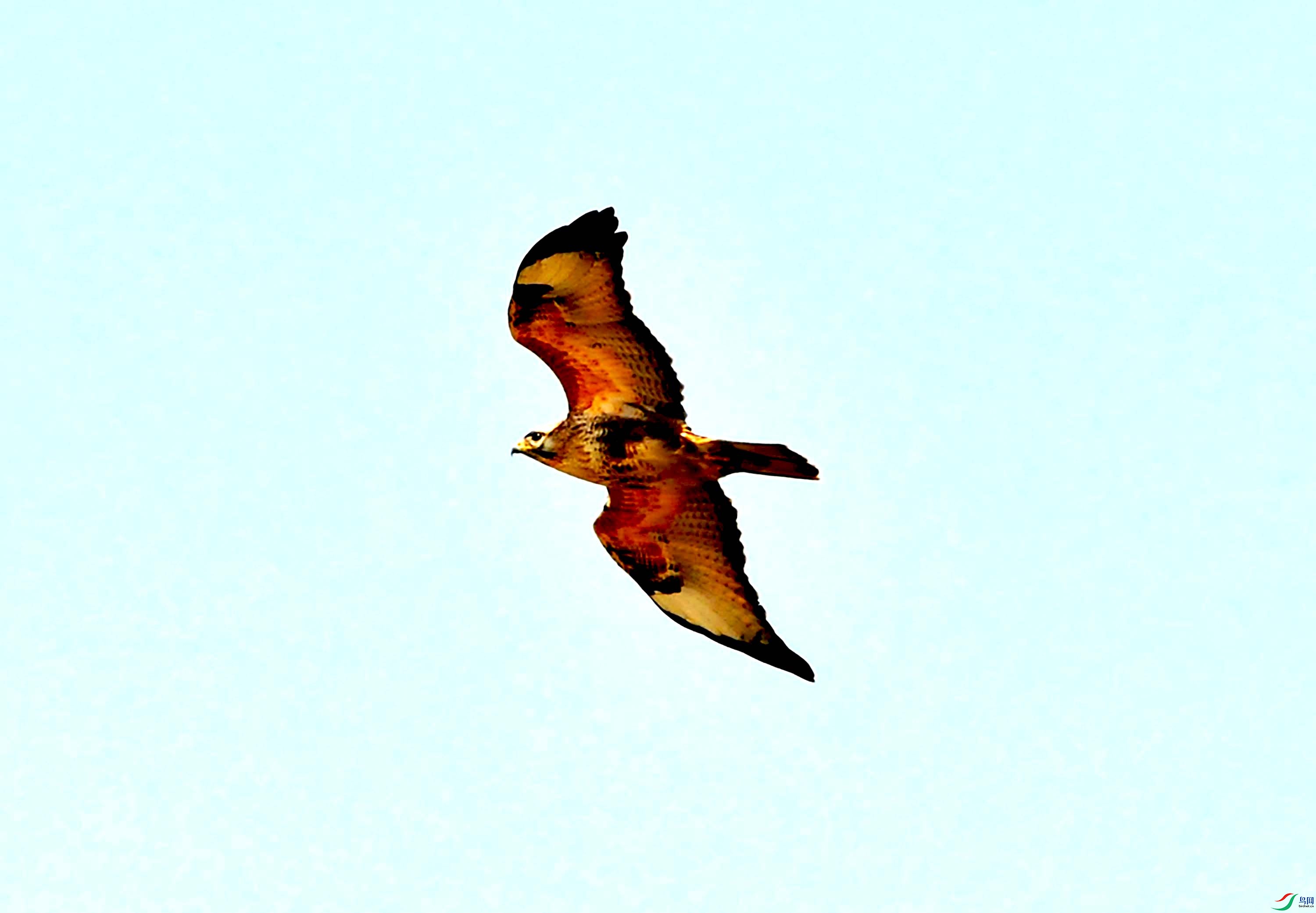 DSC_6014.JPG