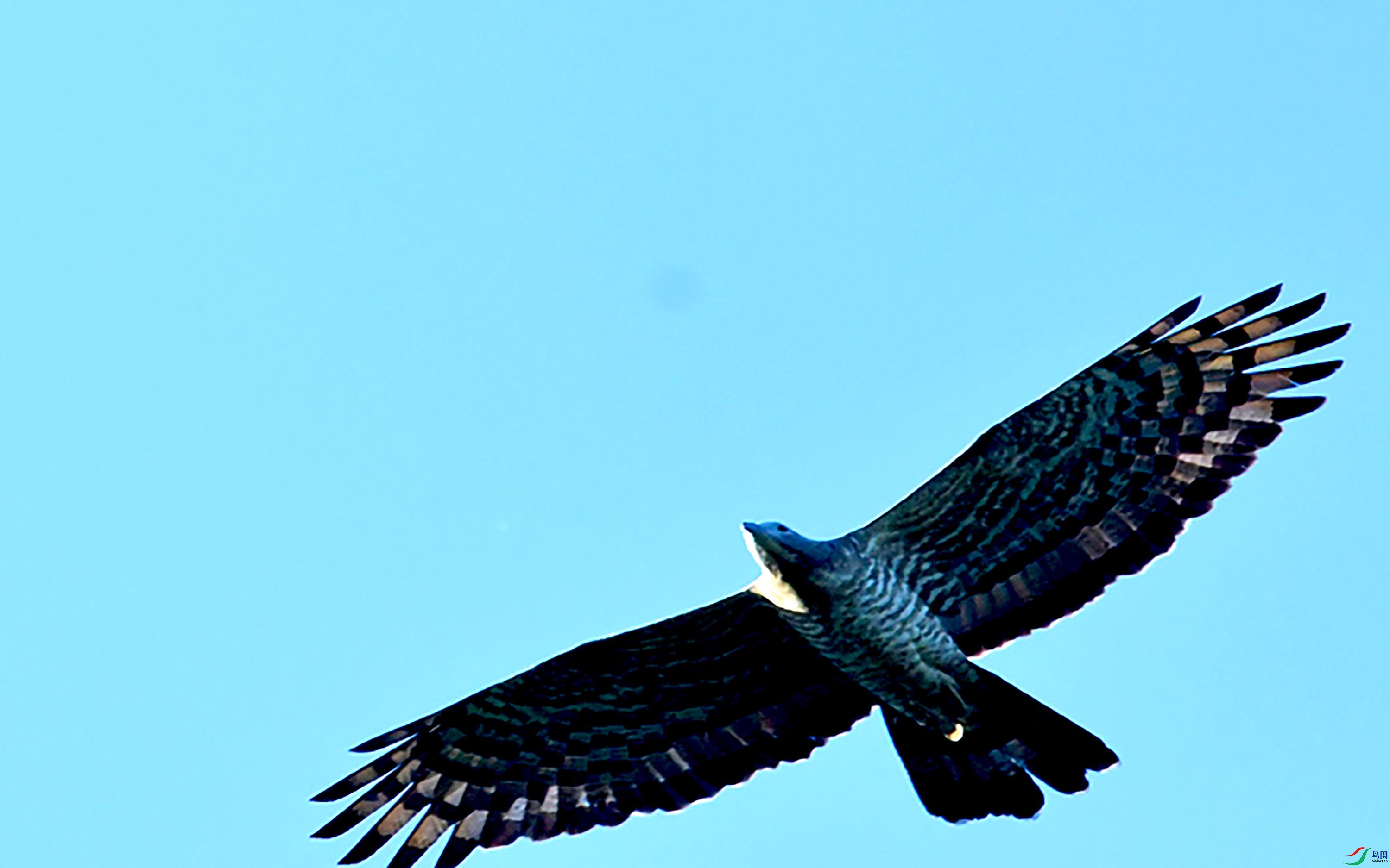 DSC_5514_��ͼ��.jpg