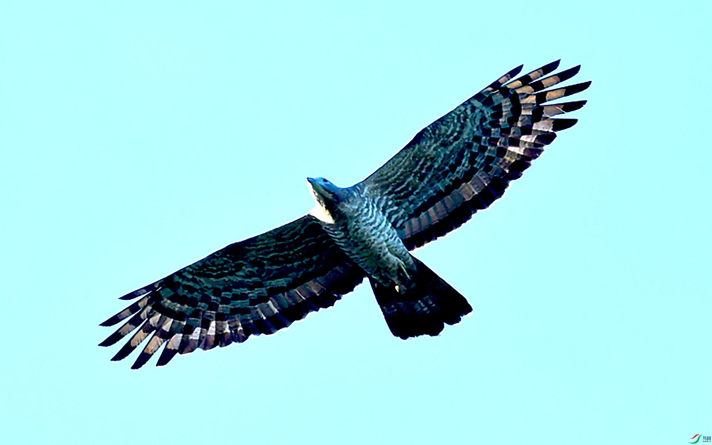 DSC_5513_��ͼ��.jpg