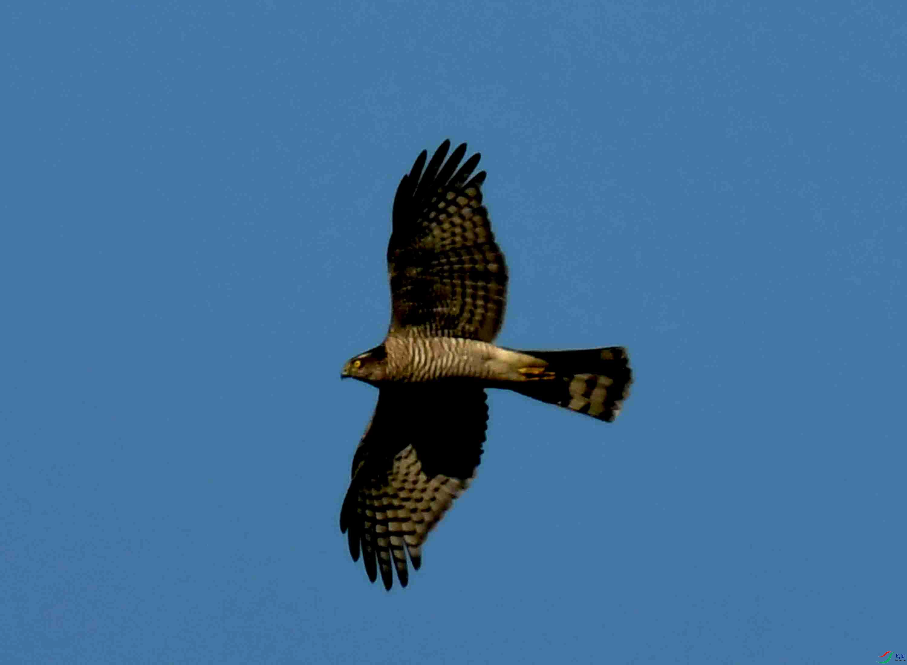 DSC_6416.JPG